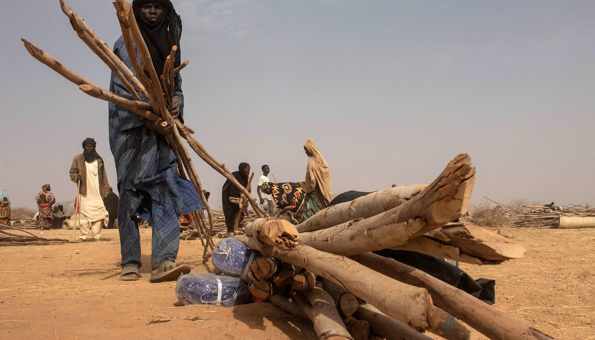 Radiografía de Mali - 6