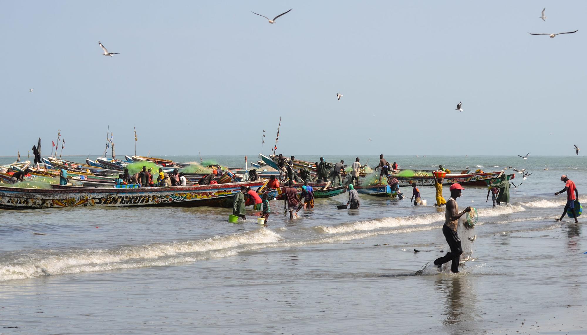 Pesca en Gambia 1