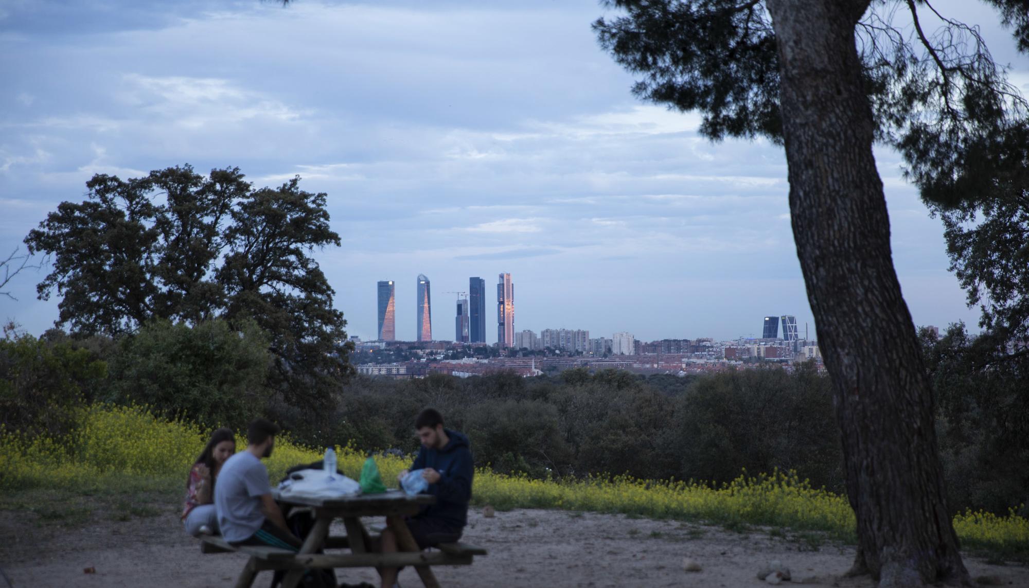 Jóvenes en el monte de El Pardo 2