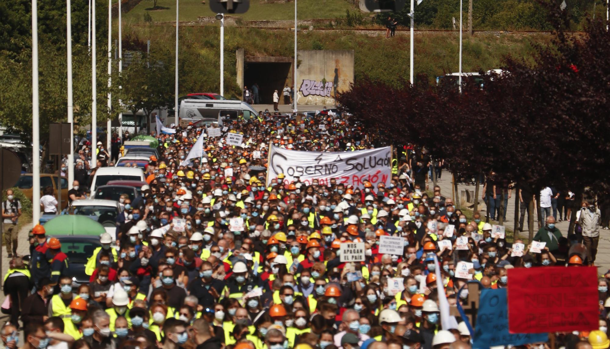 alcoa viveiro mani 2