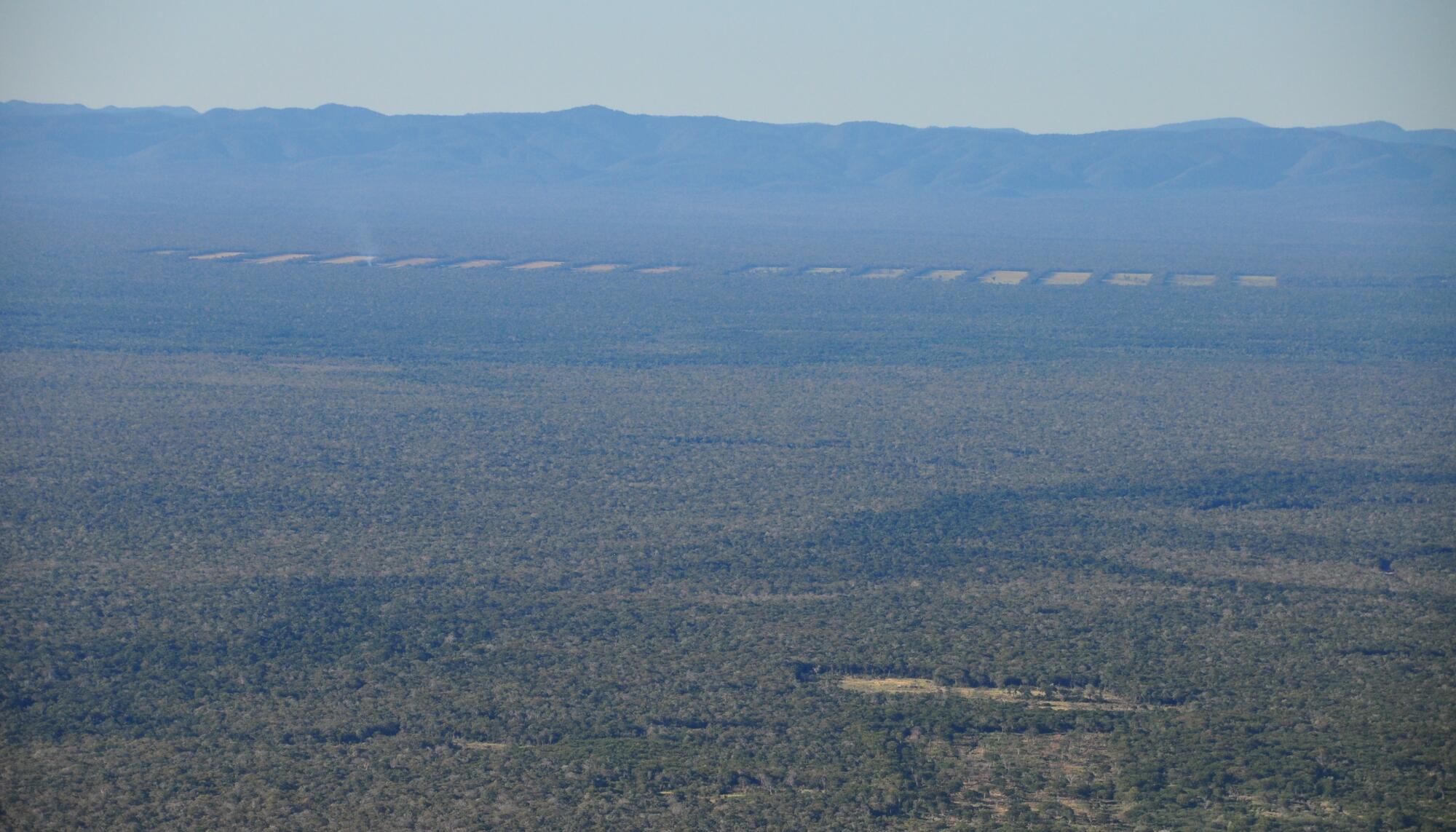 Bosque Seco Bolivia paisaje