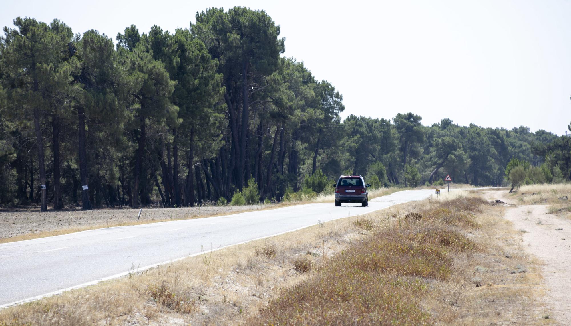 Tierra de pinares Sevovia