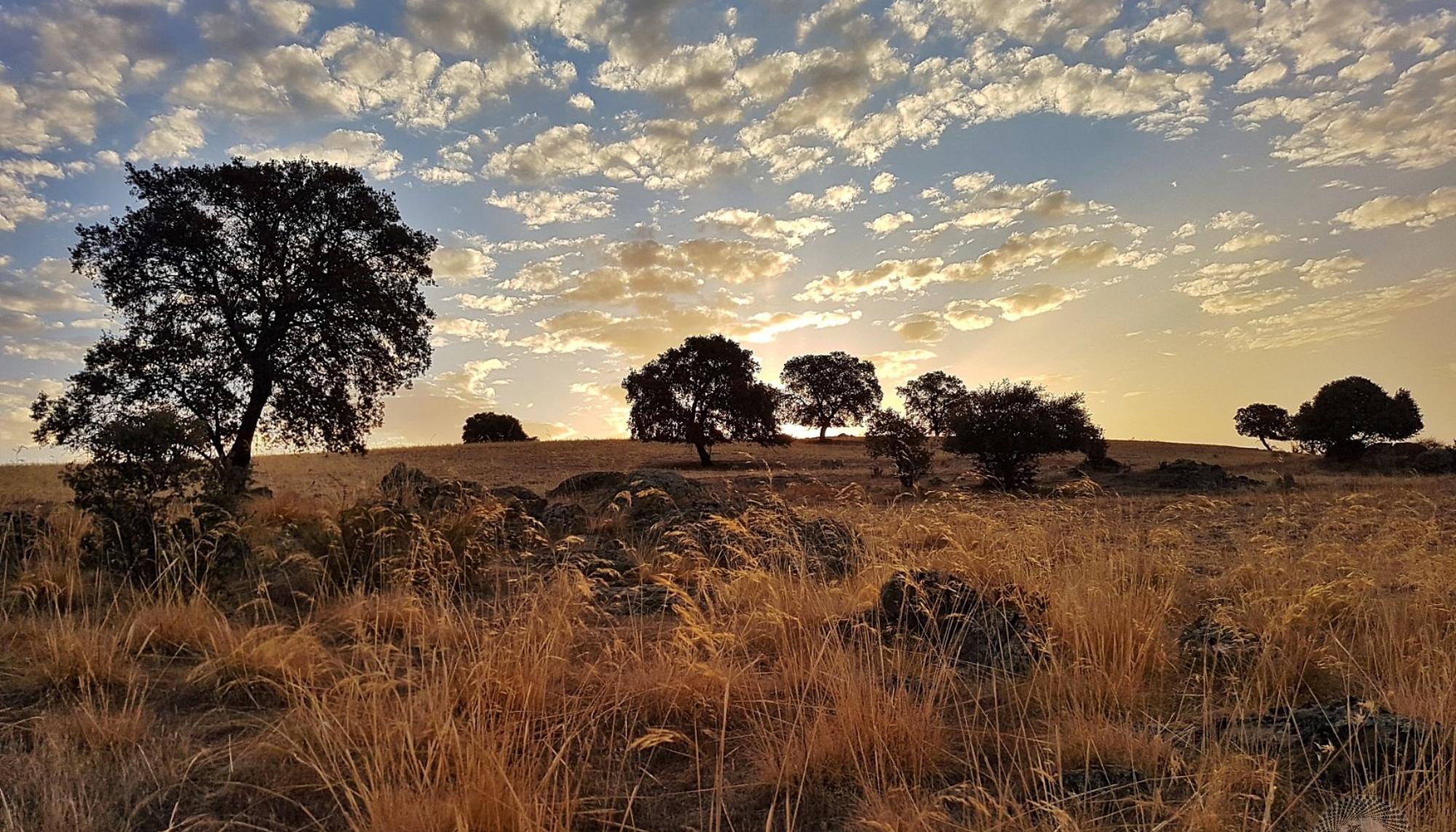 Despoblación campo Extremadura