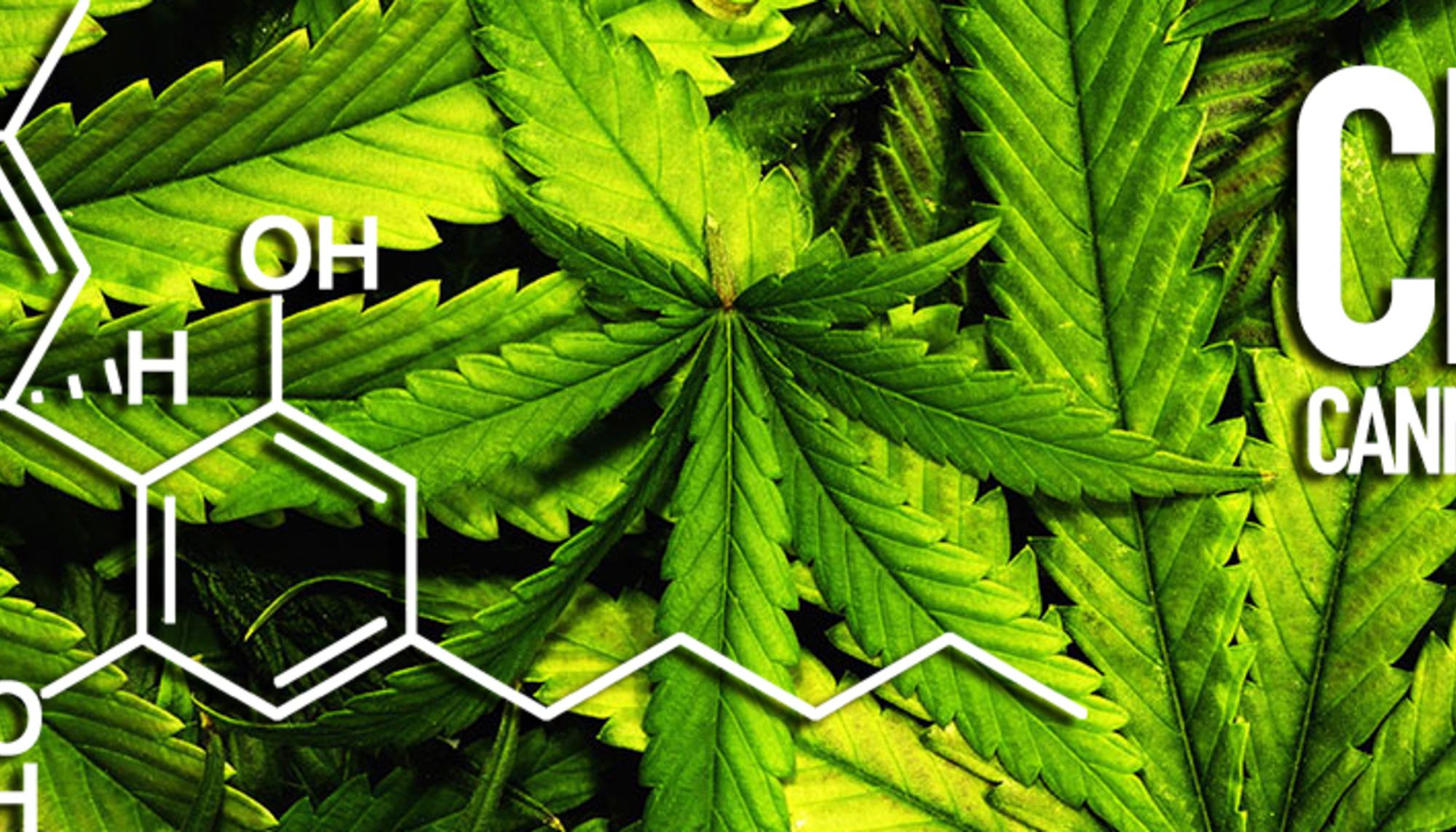 cbd
