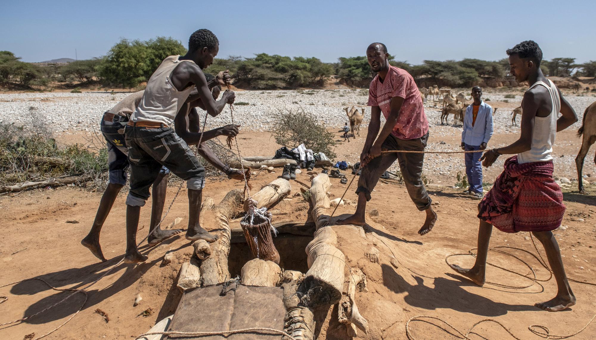 Agua Somalia Somalilandia pozo desierto
