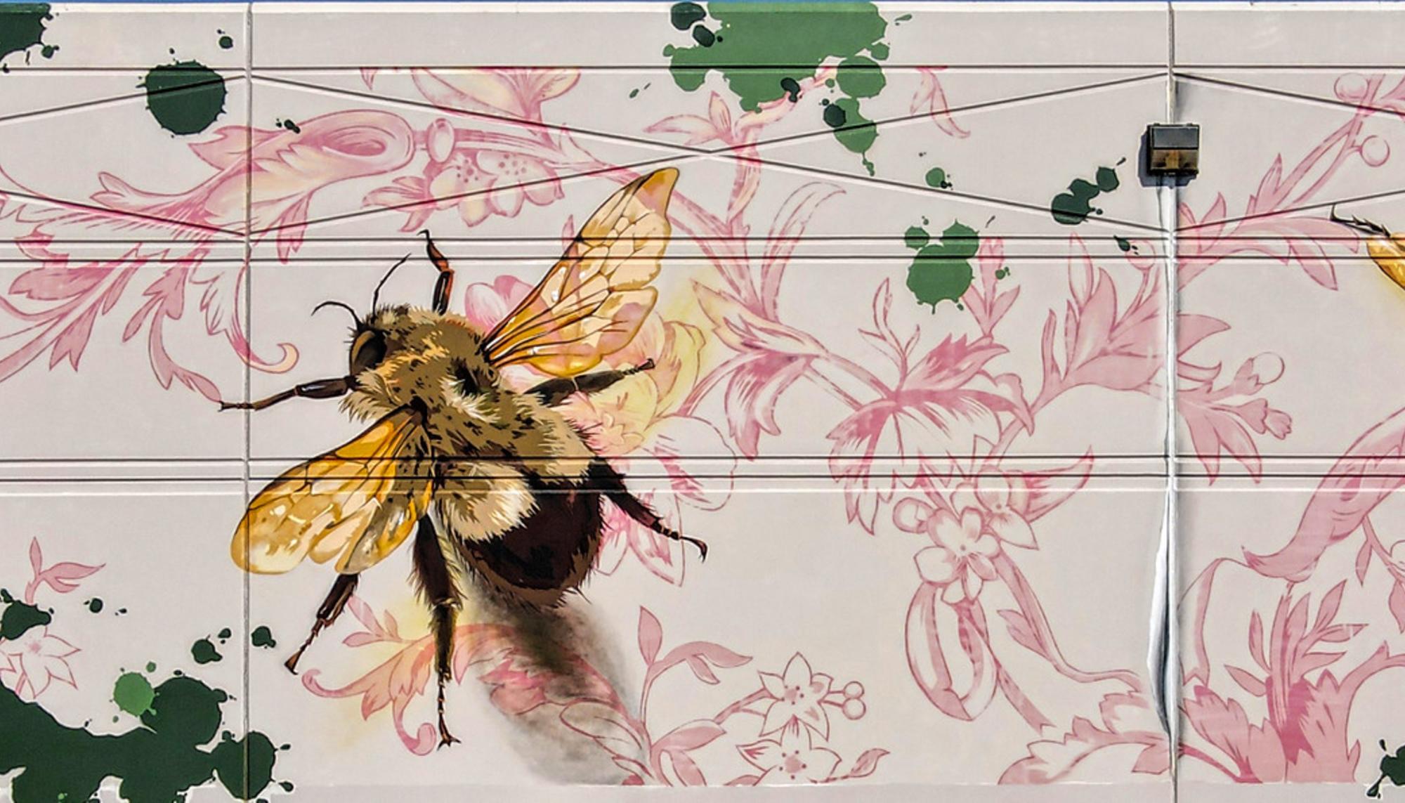 Terence Faircloth bee