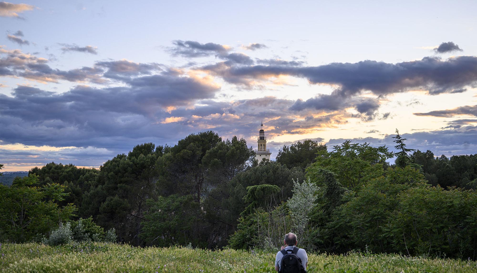 Atardecer zona verde renaturalizada Madrid