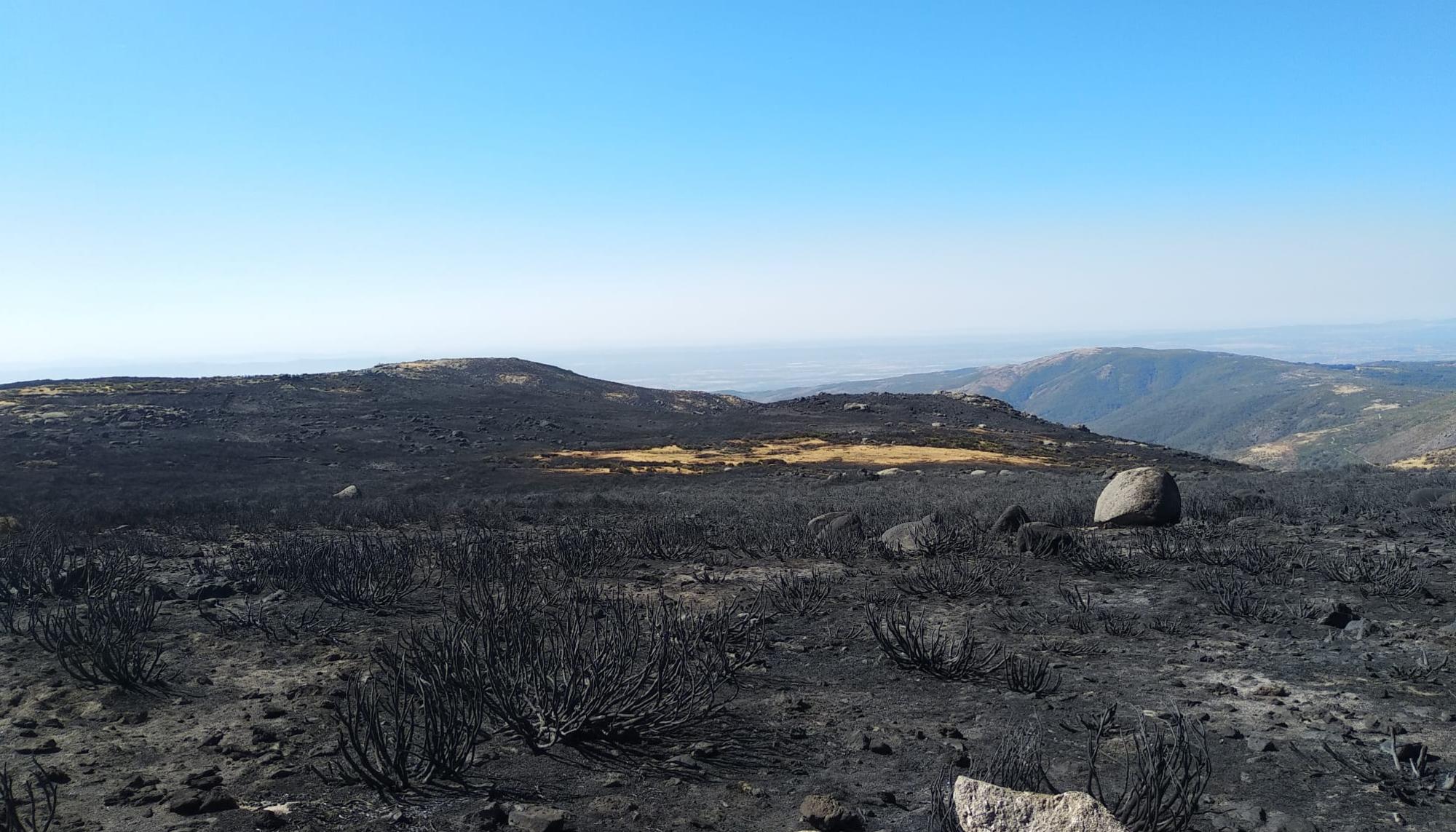 Incendio de la Vera 3