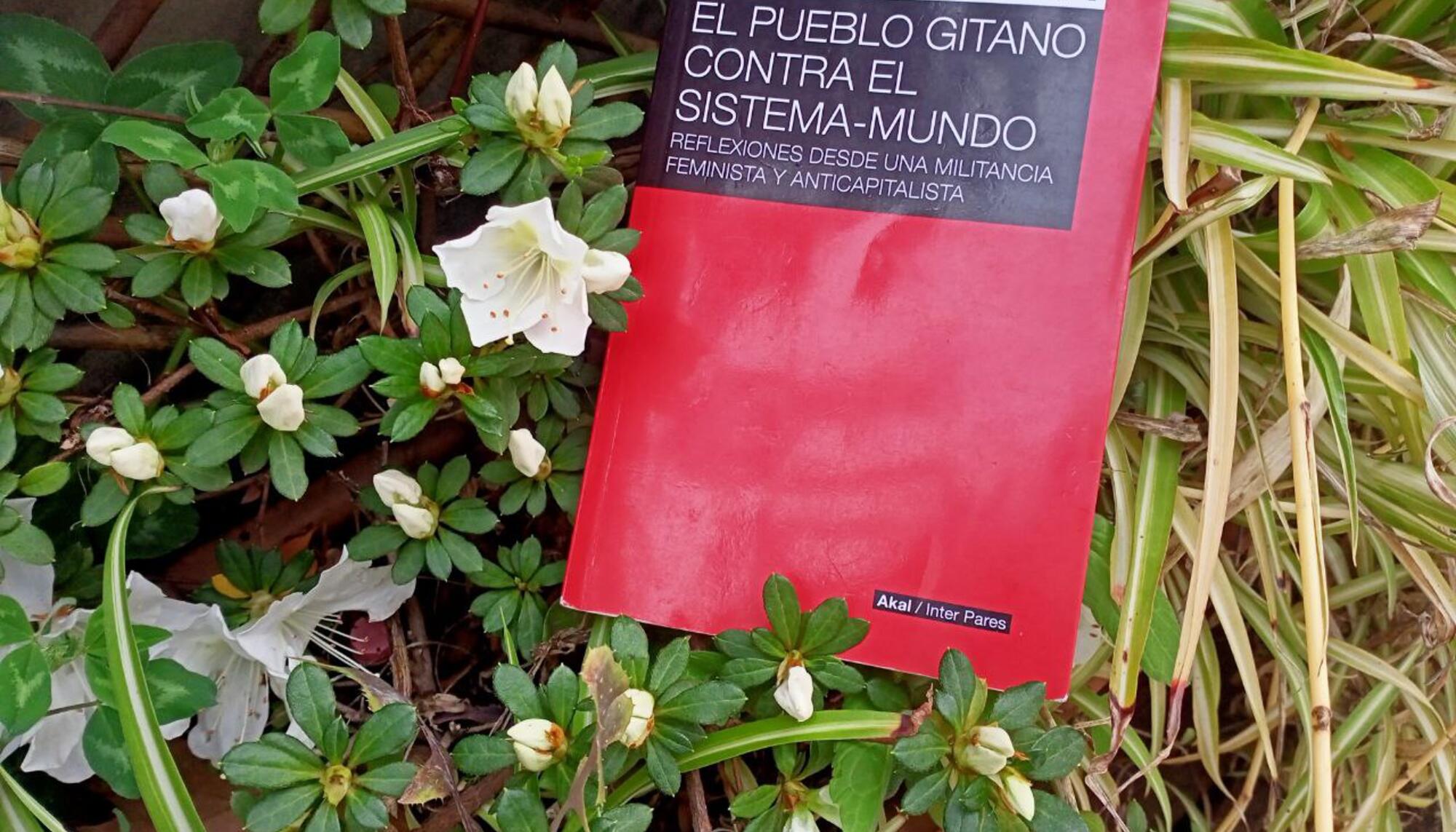 Portada de "El pueblo gitano contra el sistema-mundo" flores