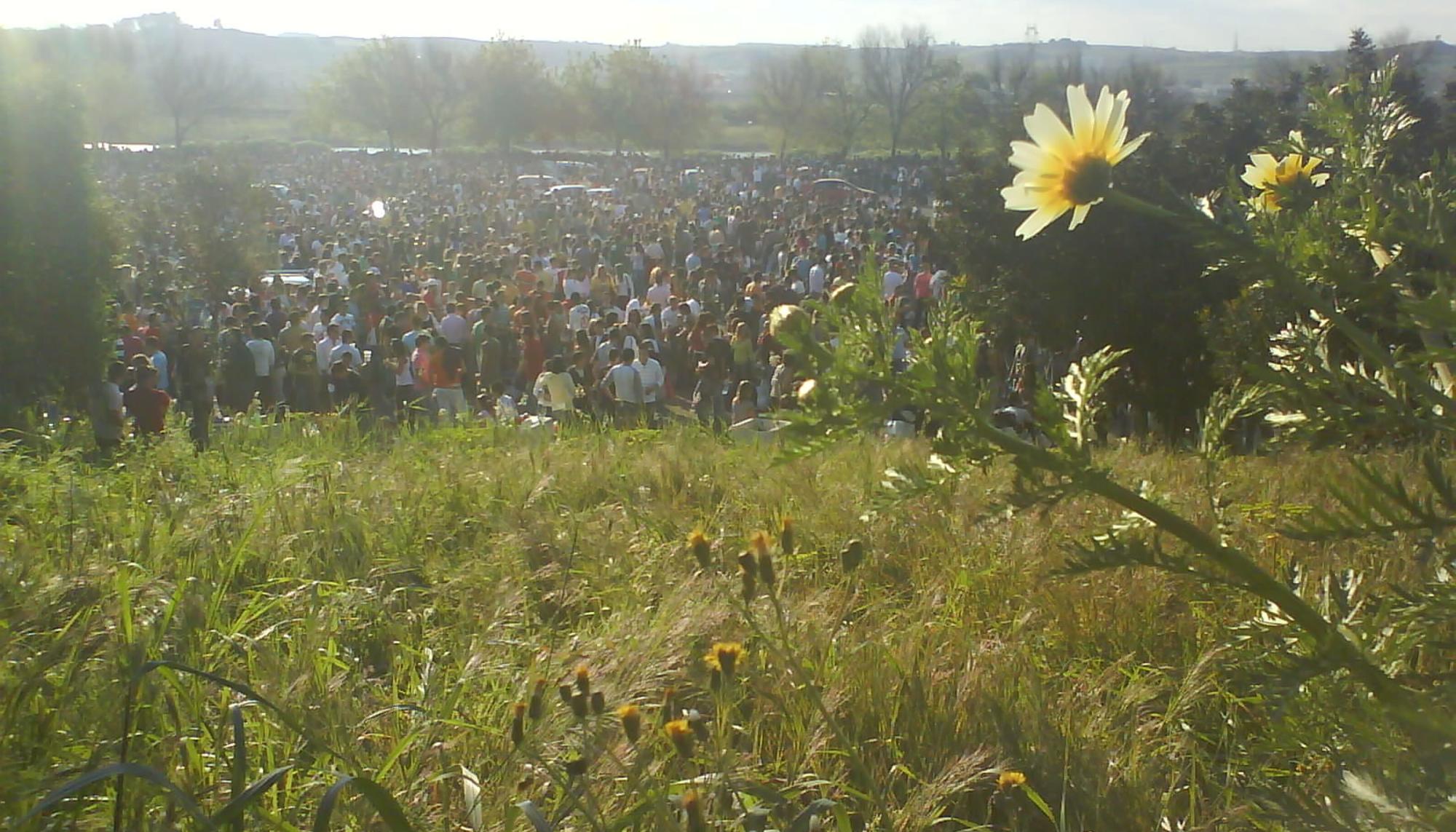 La fiesta de la primavera