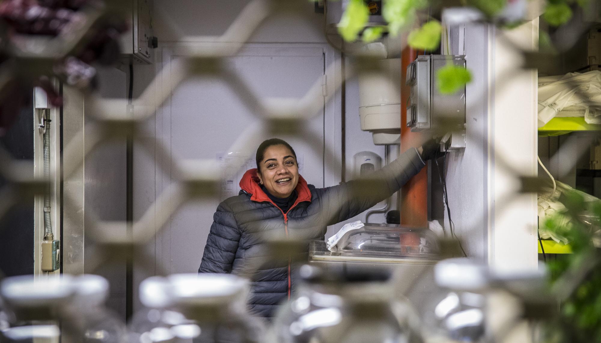 Emilia de Souza cierra su puesto de Frutas y Verduras Eli en el mercado de Pamplona.