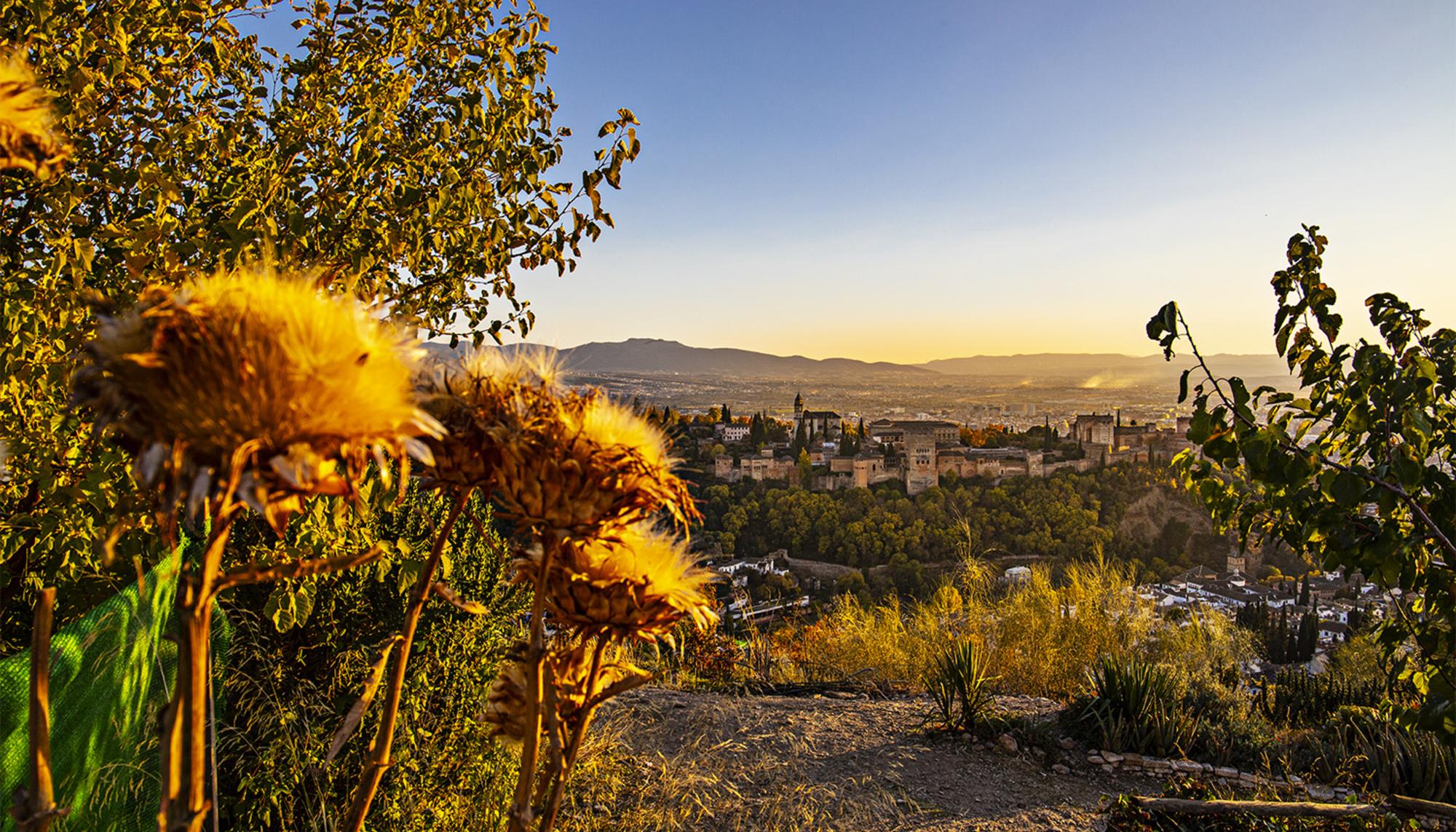 Vista de San Miguel 02