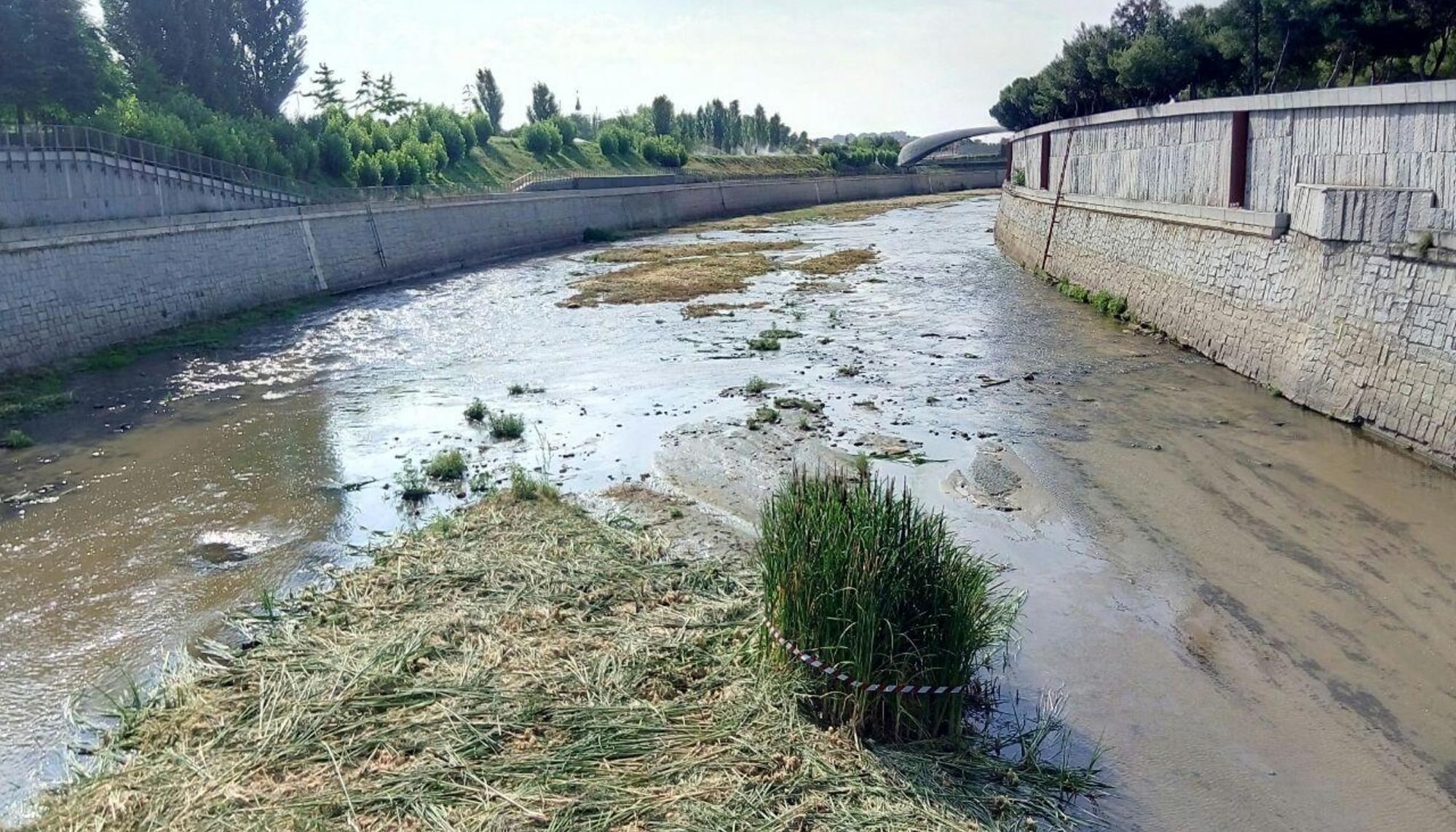 Río Manzanares desbrozado