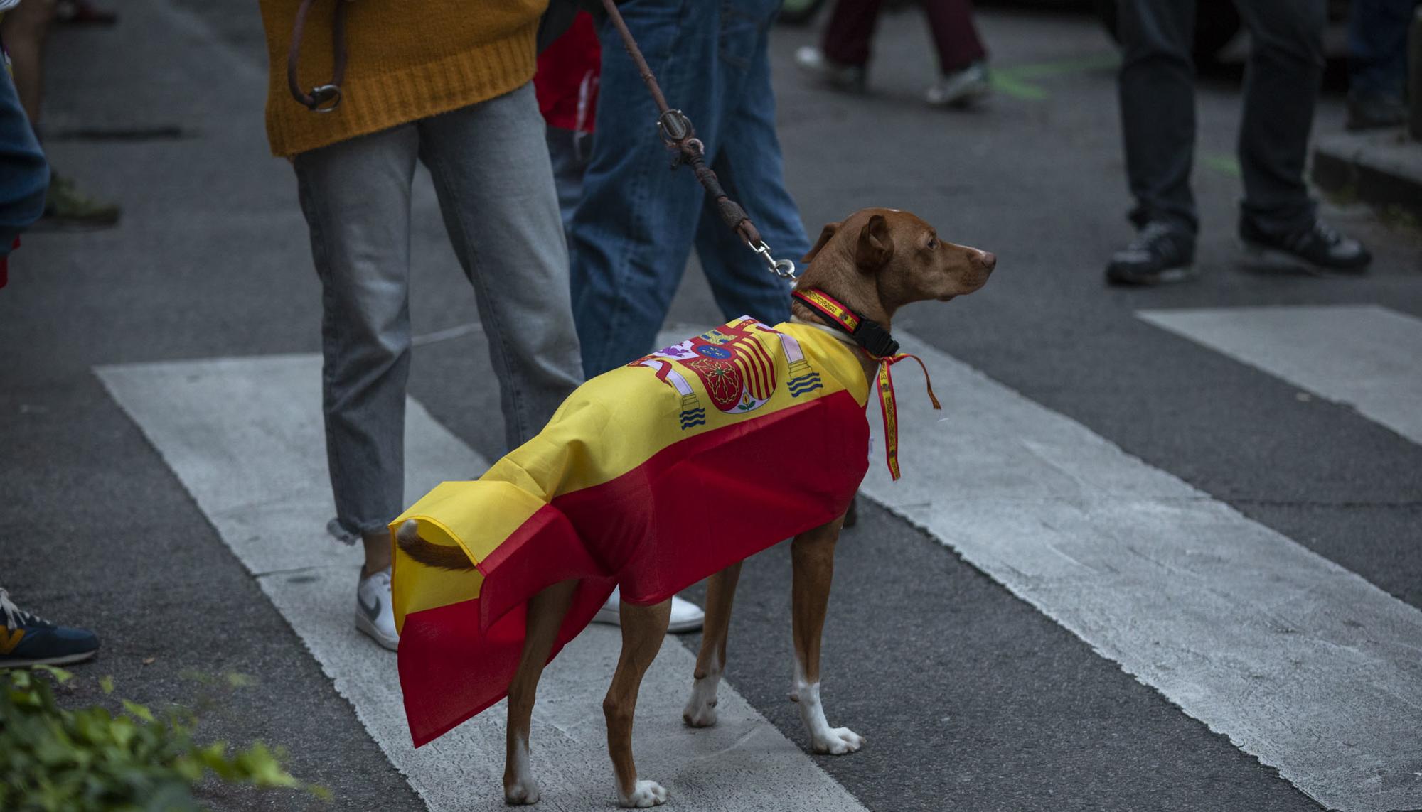 Manifestación facha contra gobierno barrio Salamanca  - 6