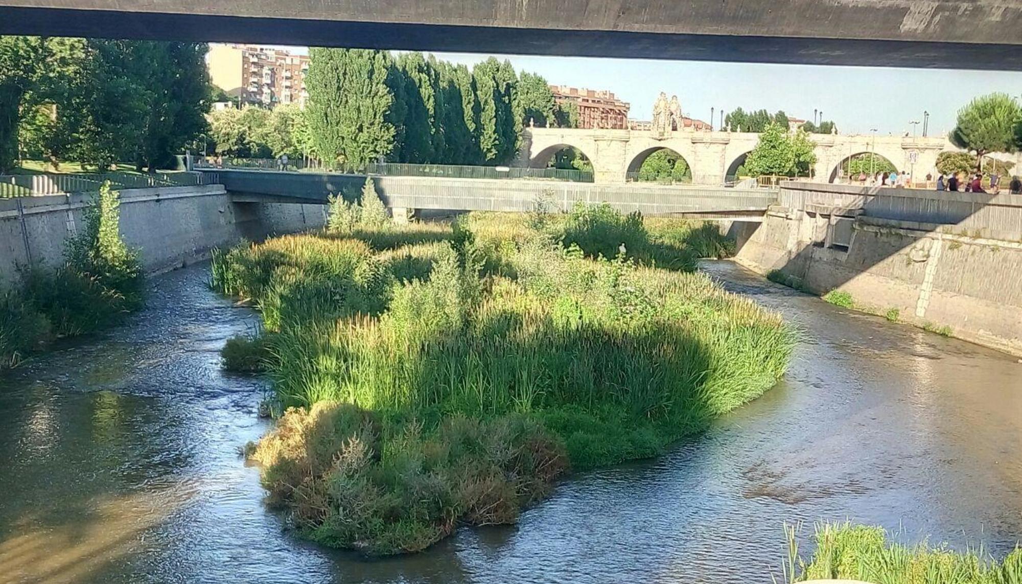 Puente Toledo