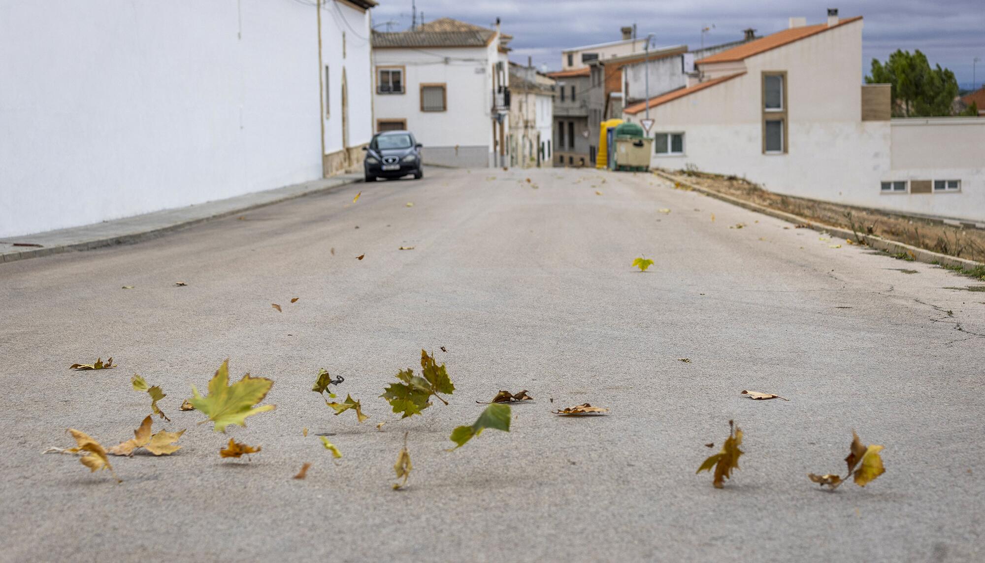 Homenaje Las Palmiras víctimas asesinato en Las Pedroñeras - 15