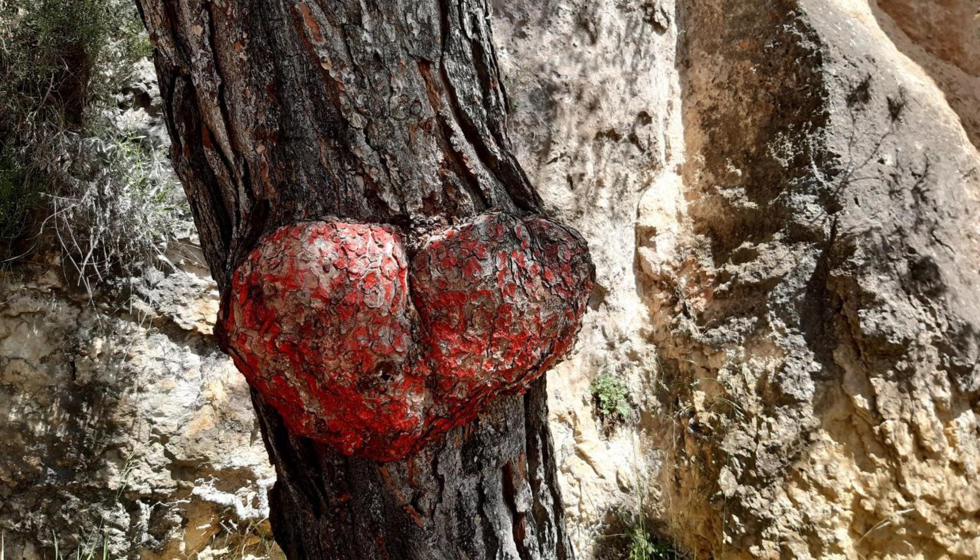 Árbol corazón
