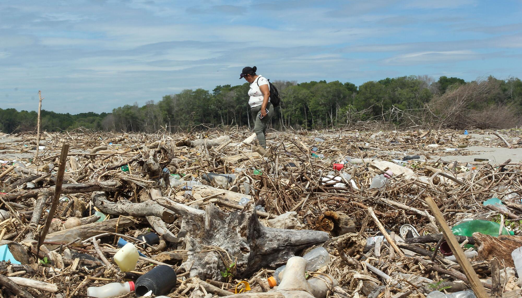 Manglares El Salvador - 1