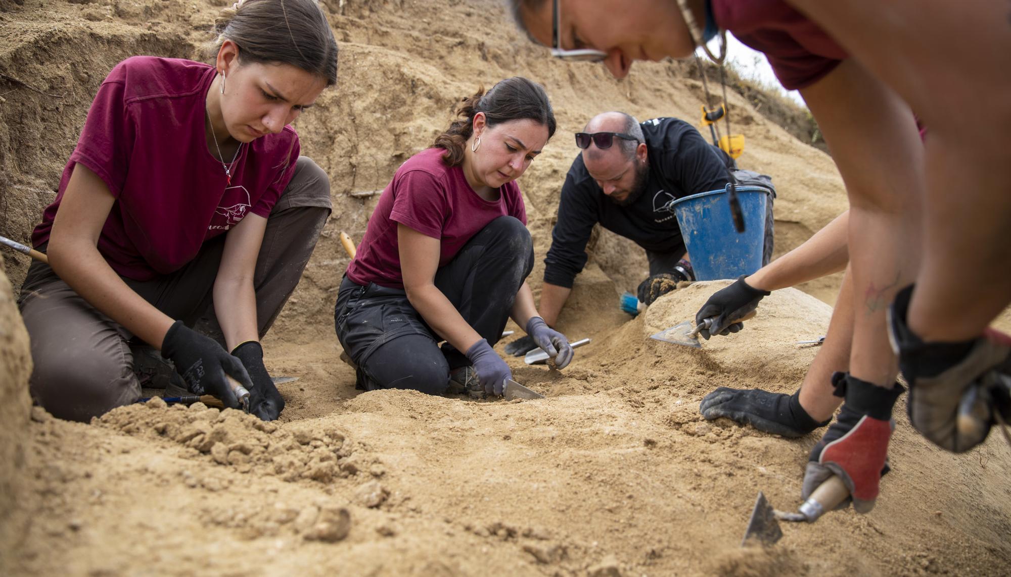 Galeria excavacion Brunete - 1