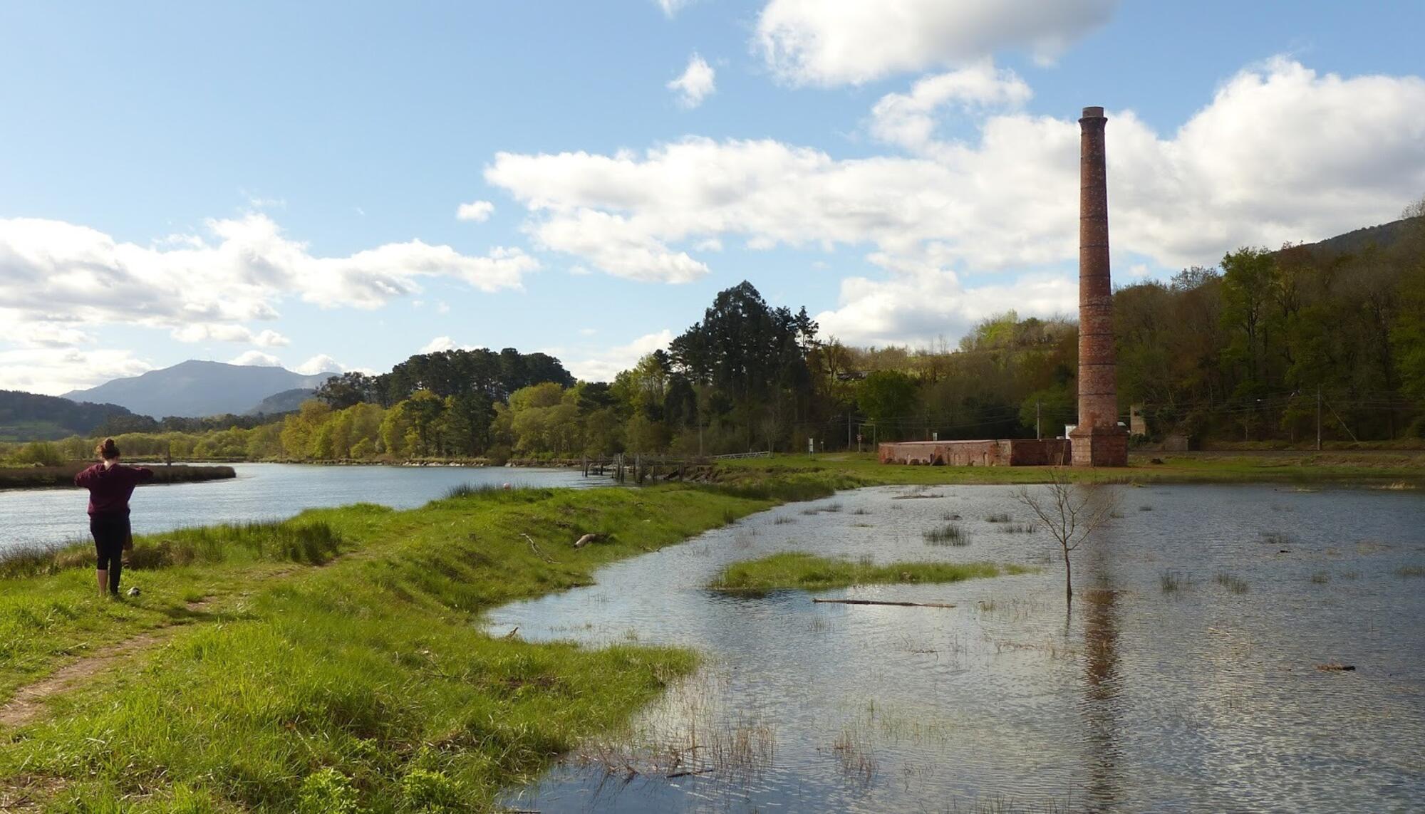 Humedal de Murueta Urdaibai