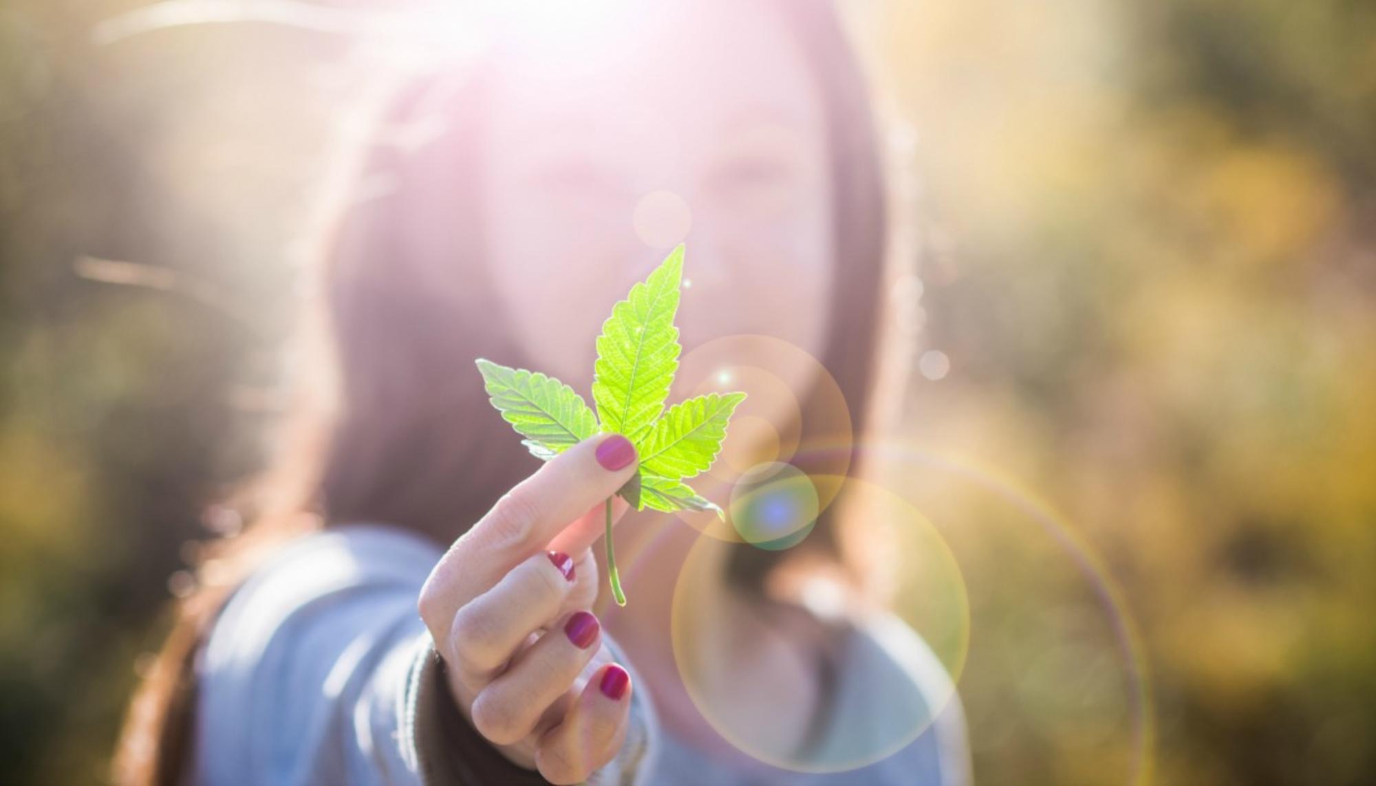 mujeres cannabis