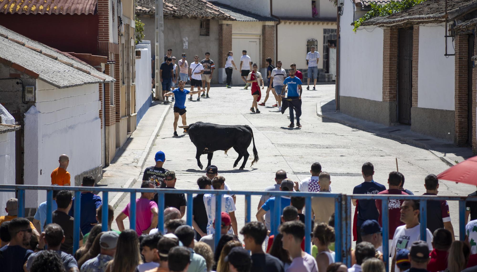 Encierro Santiuste 3