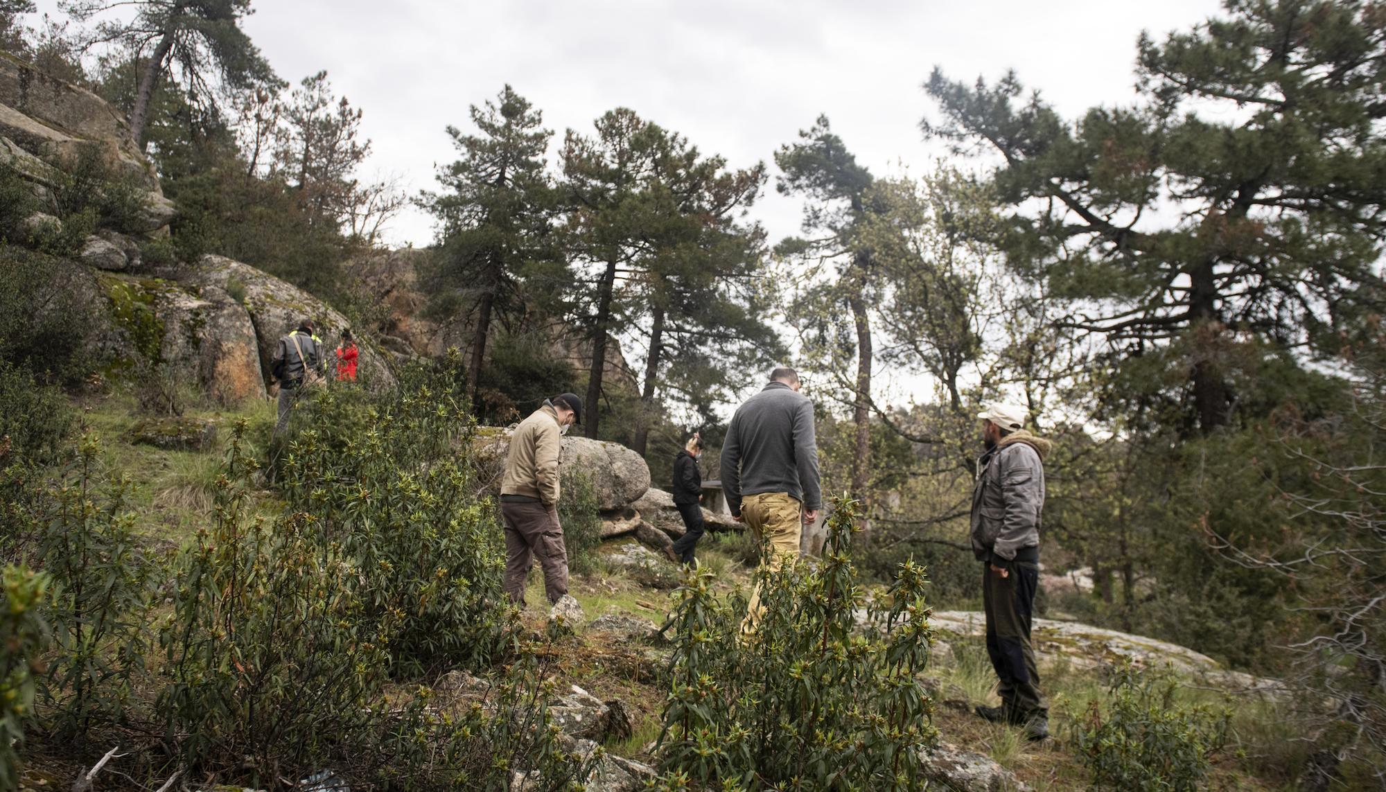 Proyecto arqueológico del Valle de los Caídos. Los campos de trabajo. - 1