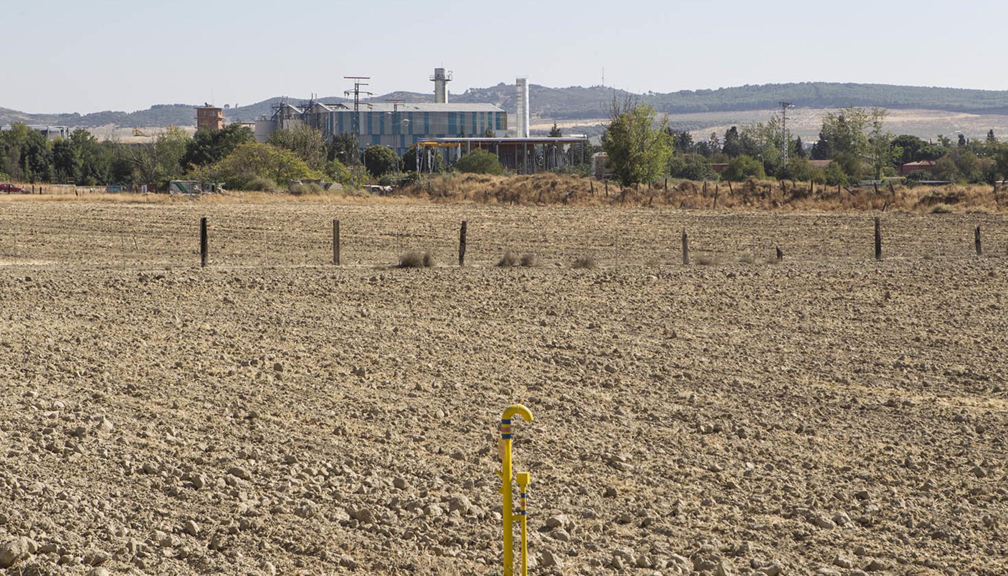 Campos de cultivo junto a Perales del Río. Al fondo, la EDAR Sur.