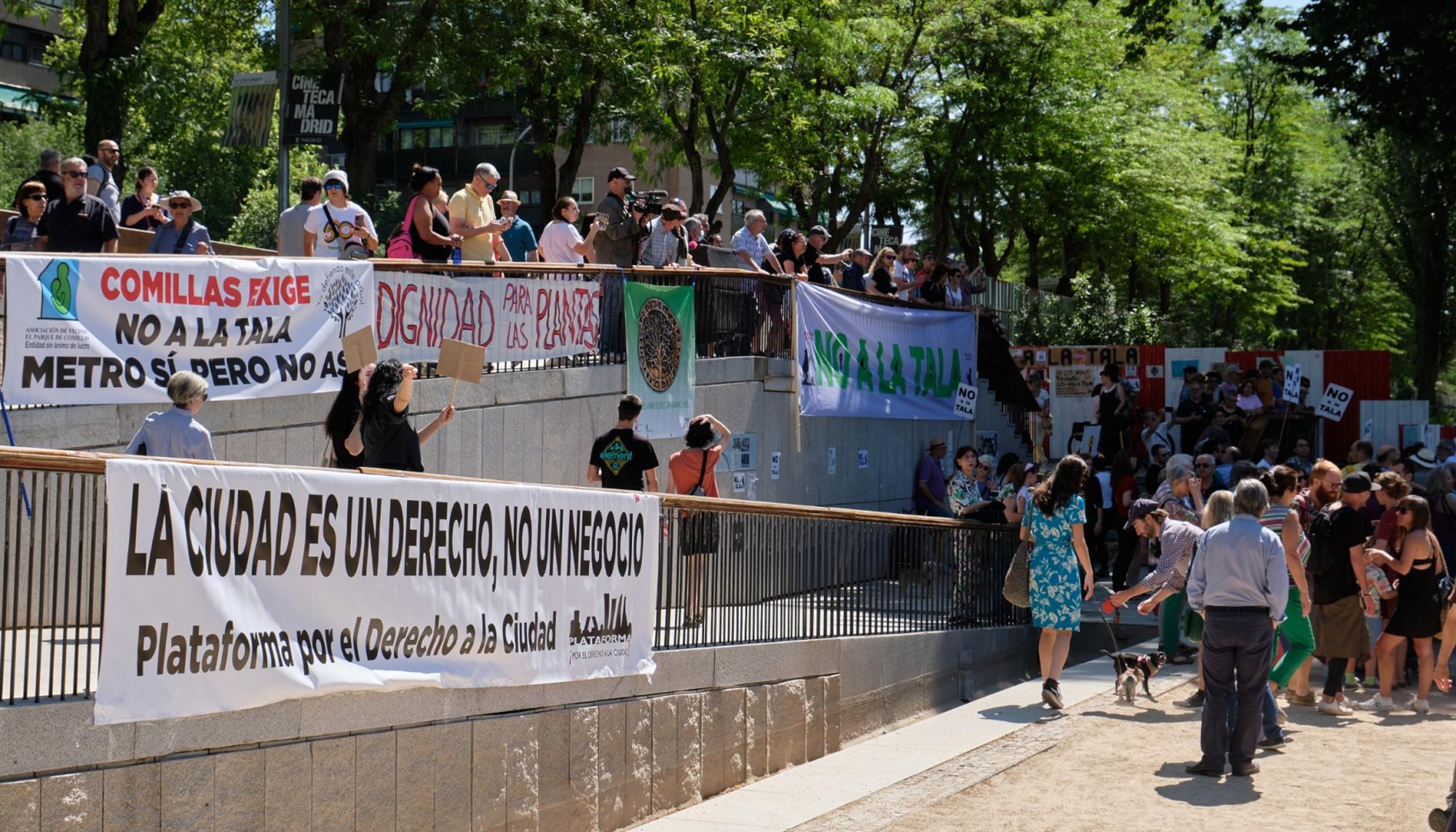 Concentración No a la Tala -mayo 2023 - 14
