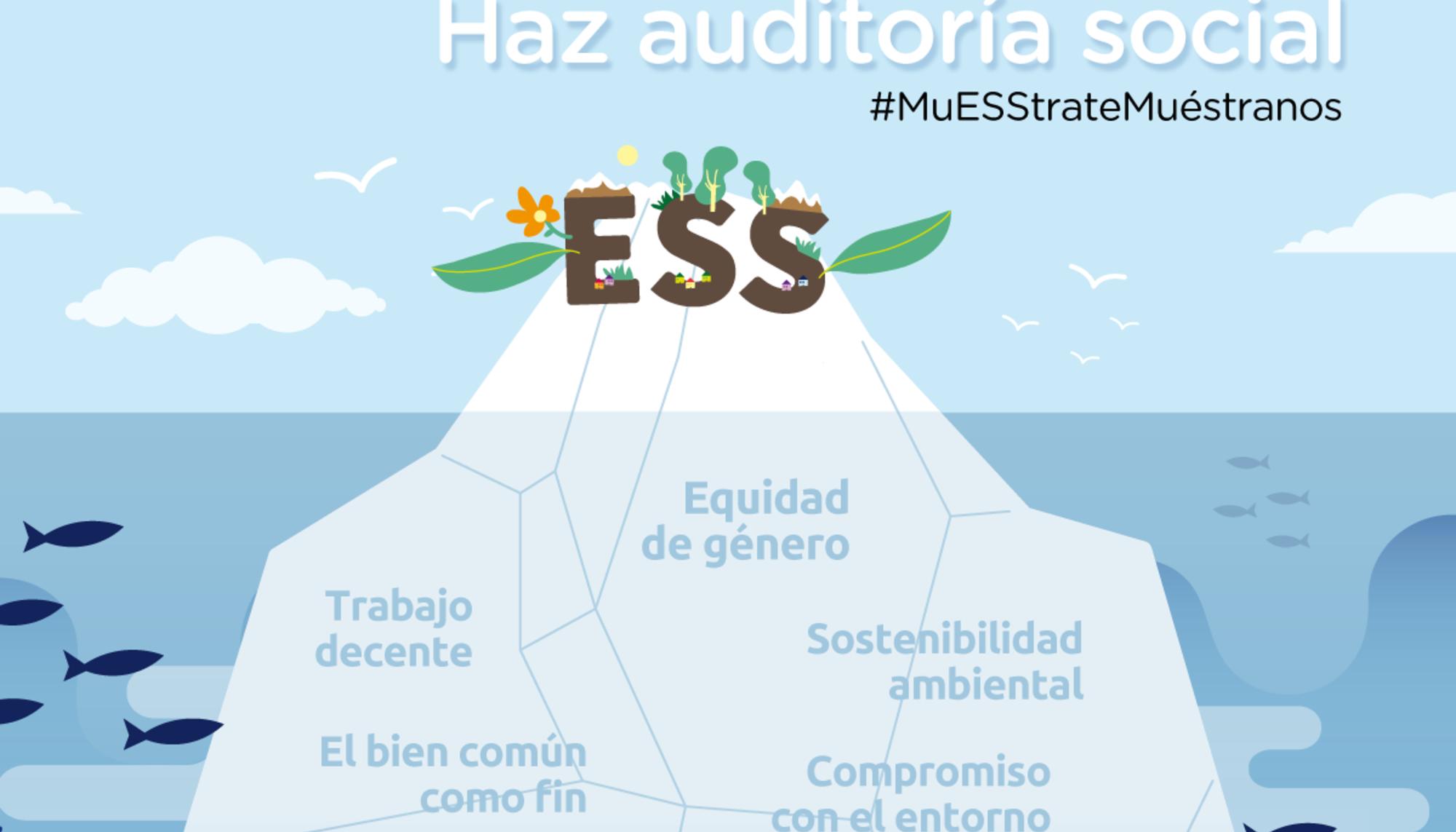 cartel camapaña Auditoría/Balance Social REAS Red de Redes 2021