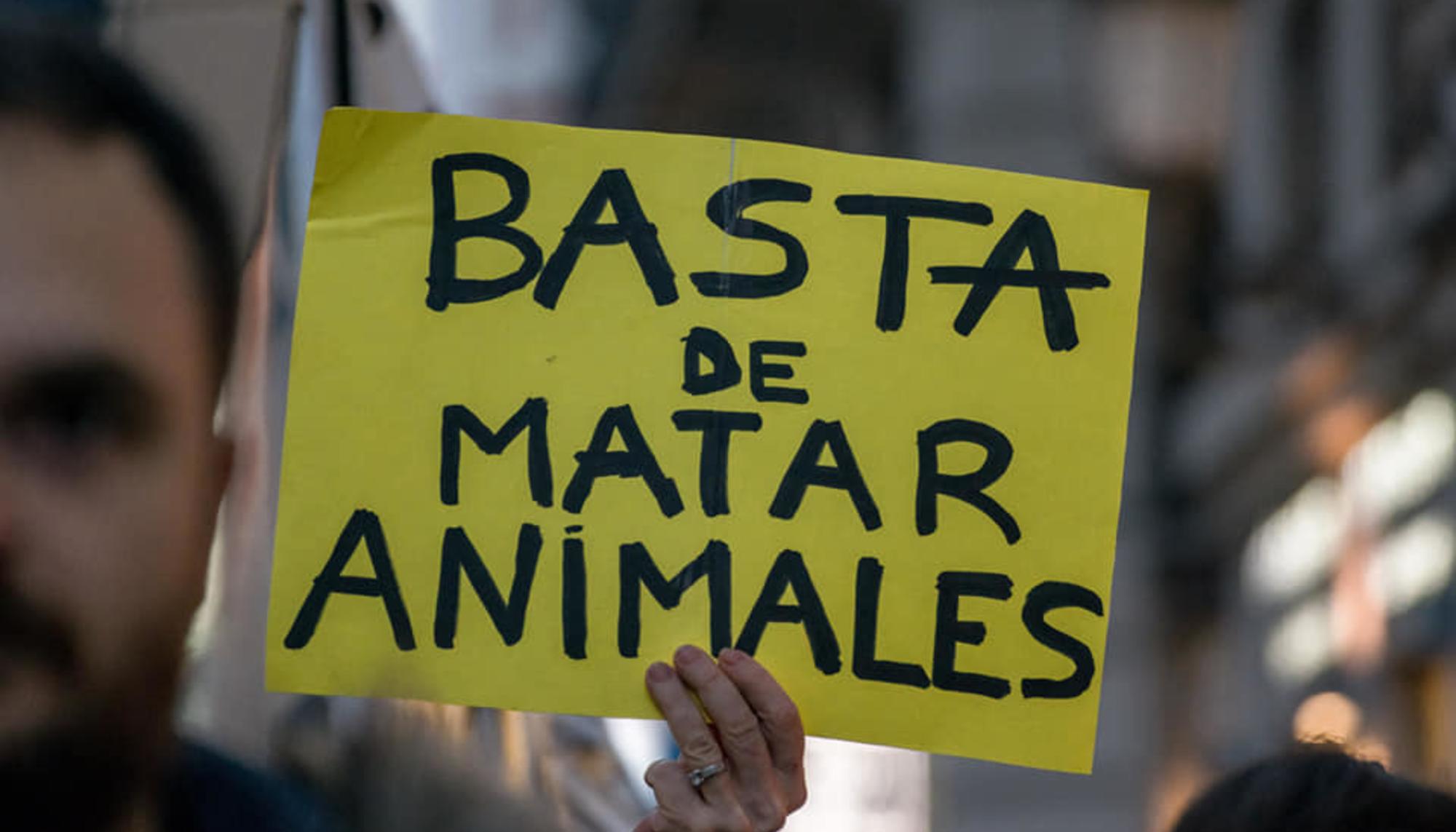 Basta de matar animales