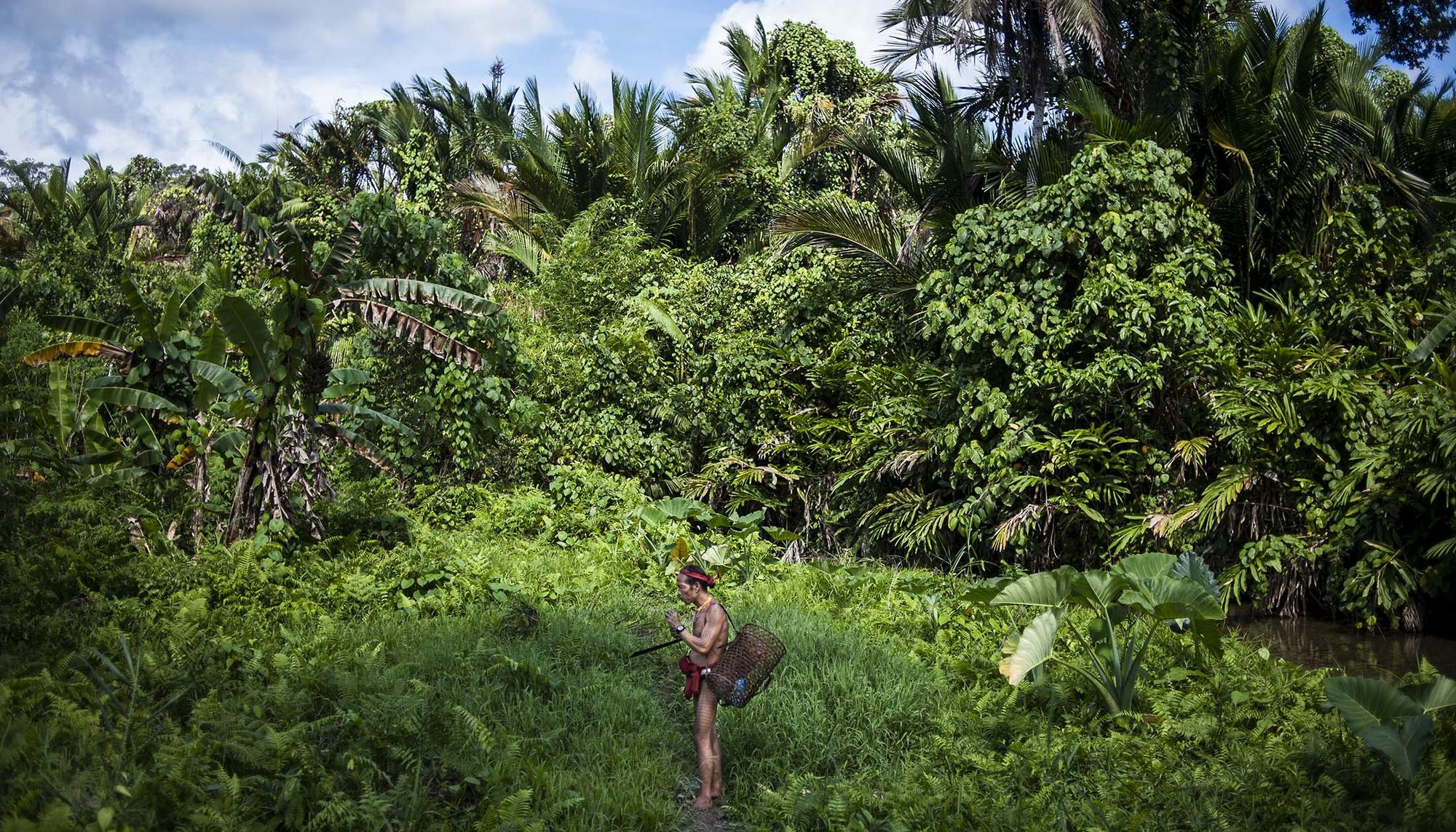 Mentawai Marina Calahorra