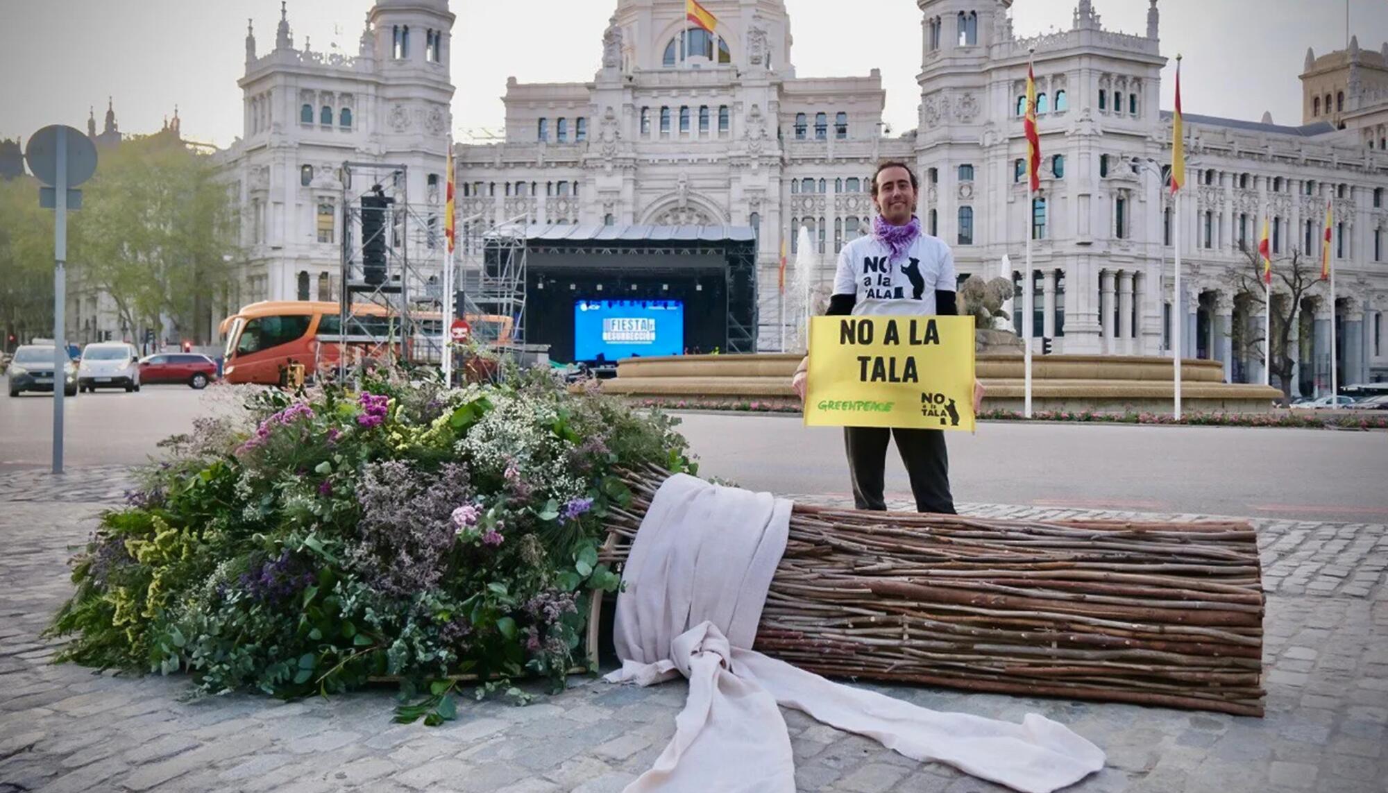 Acción Ramo Almeida Boda