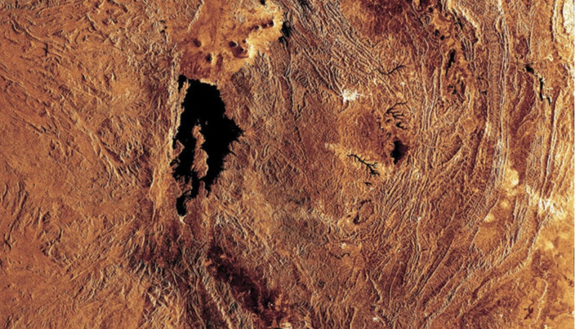 africa rif