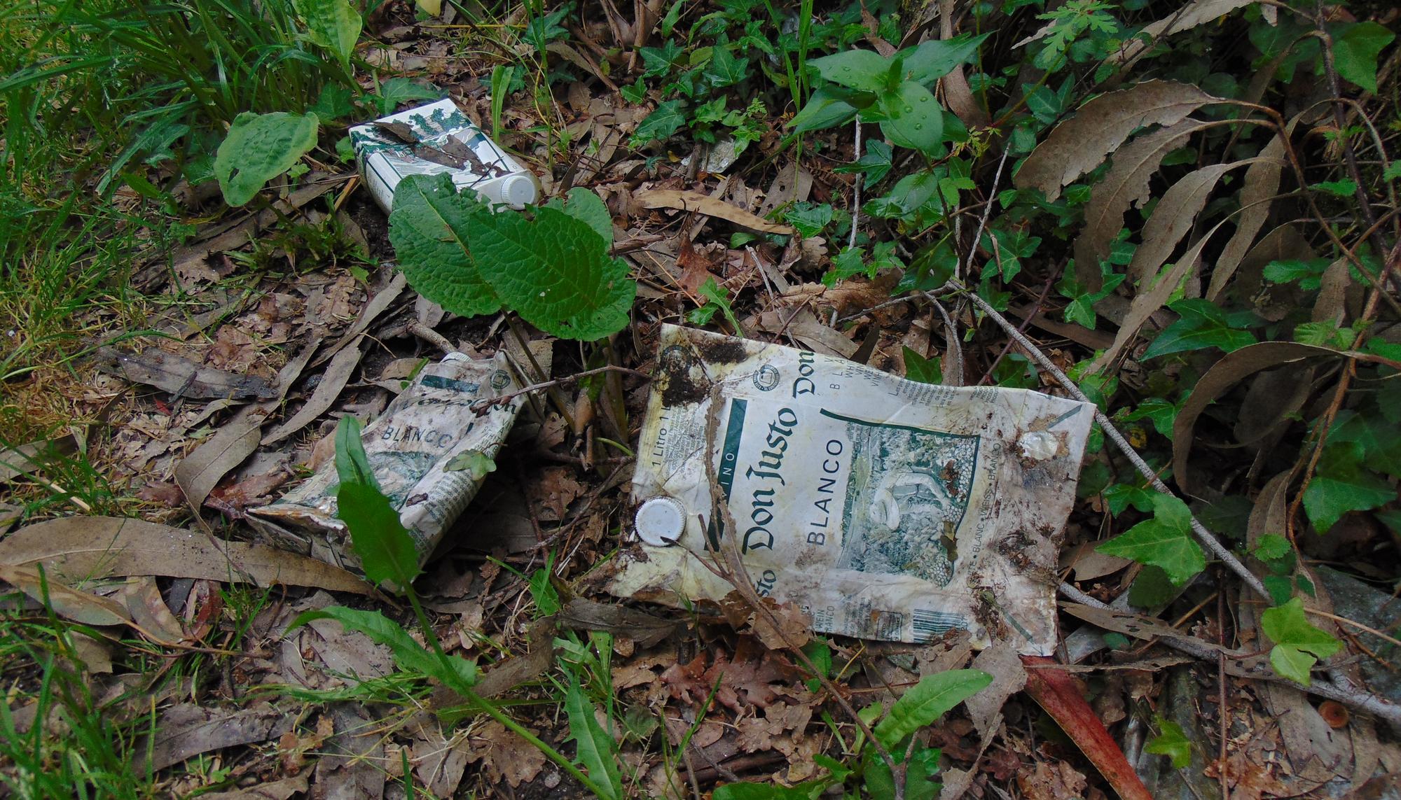 Alcoholismo no rural