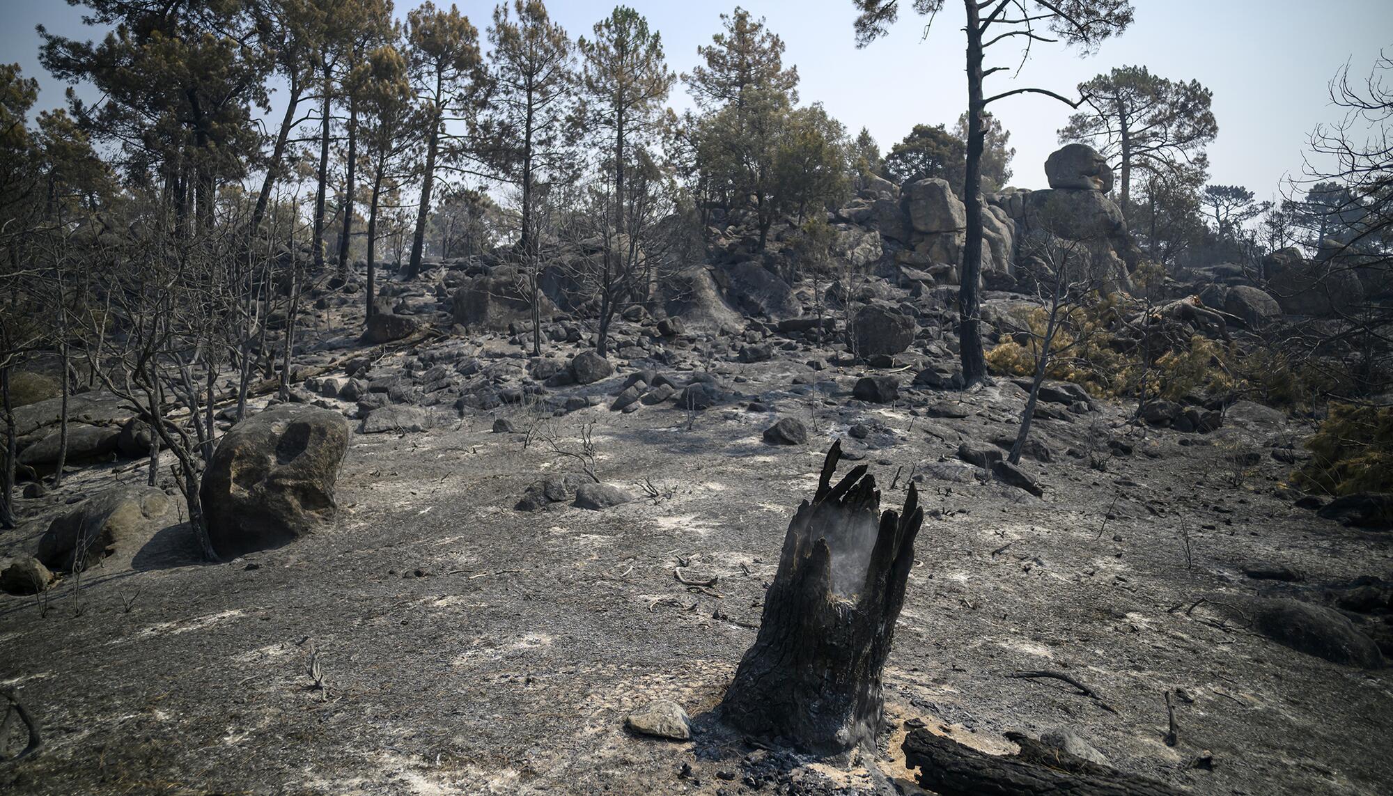 Incendio Navaluenga - 9