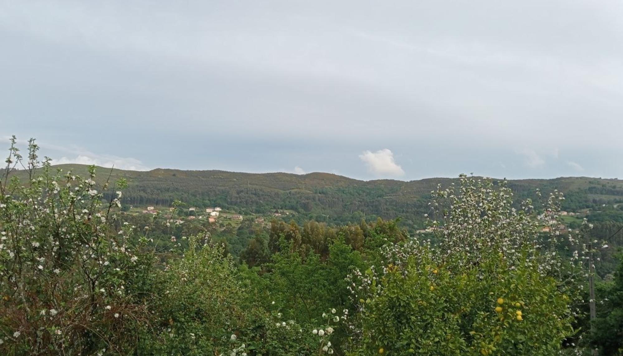 Monte Peón desde carrizans