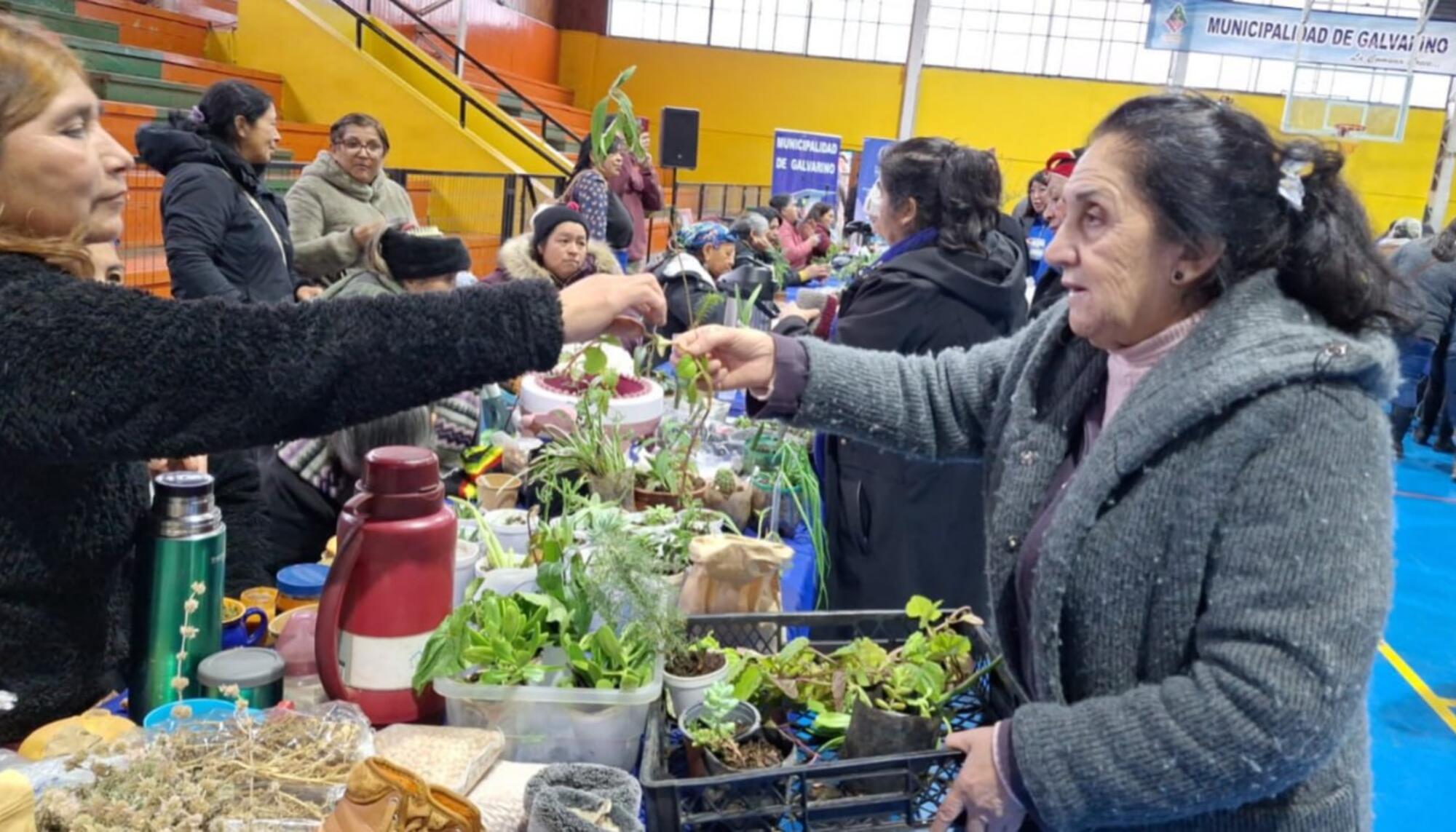 Primer Intercomunal Trafkintu en la municipalidad de Galvarino IX Regio (Autoría:  Red de Economías Territoriales Wallmapu, Chile)