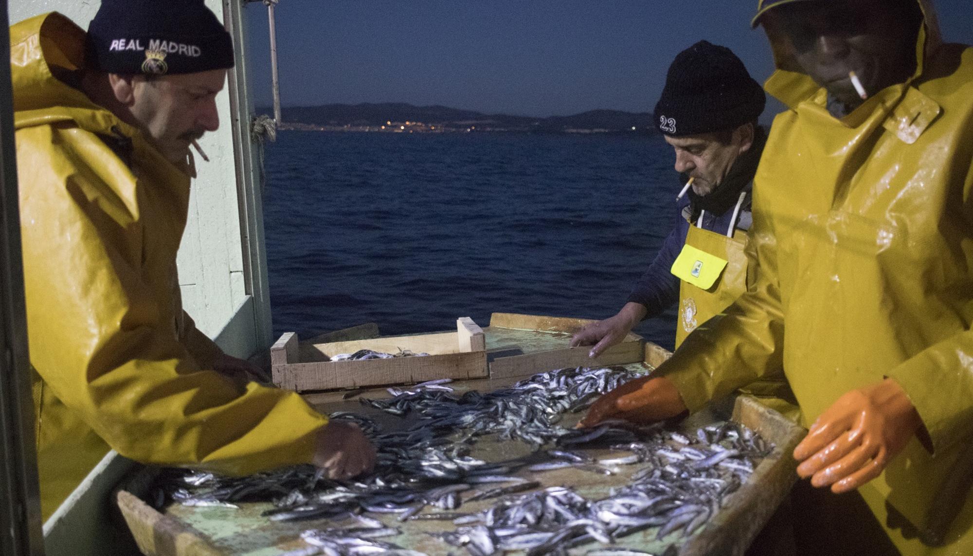 Pesca Barceloneta 2