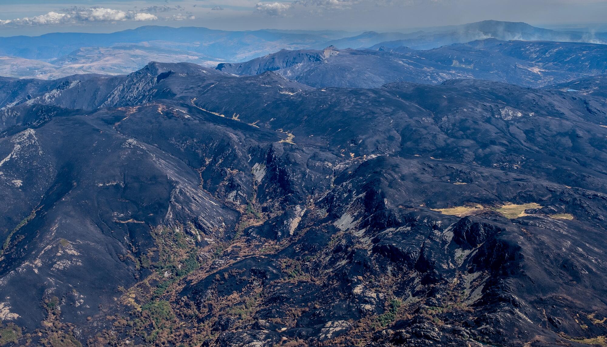 Incendios Greenpeace aereas - 7