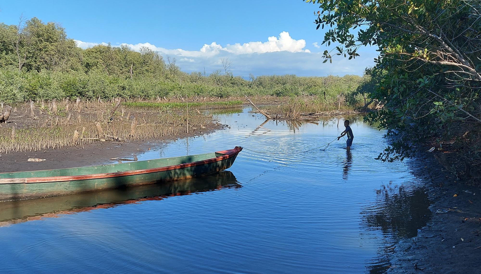 Botoncillo El Salvador