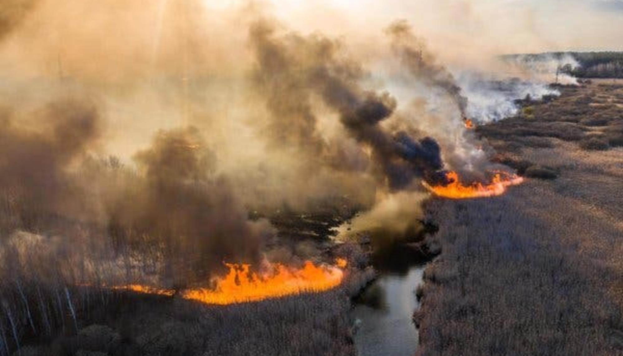 Incendio en la zona de Chernóbil. Abril, 2020.