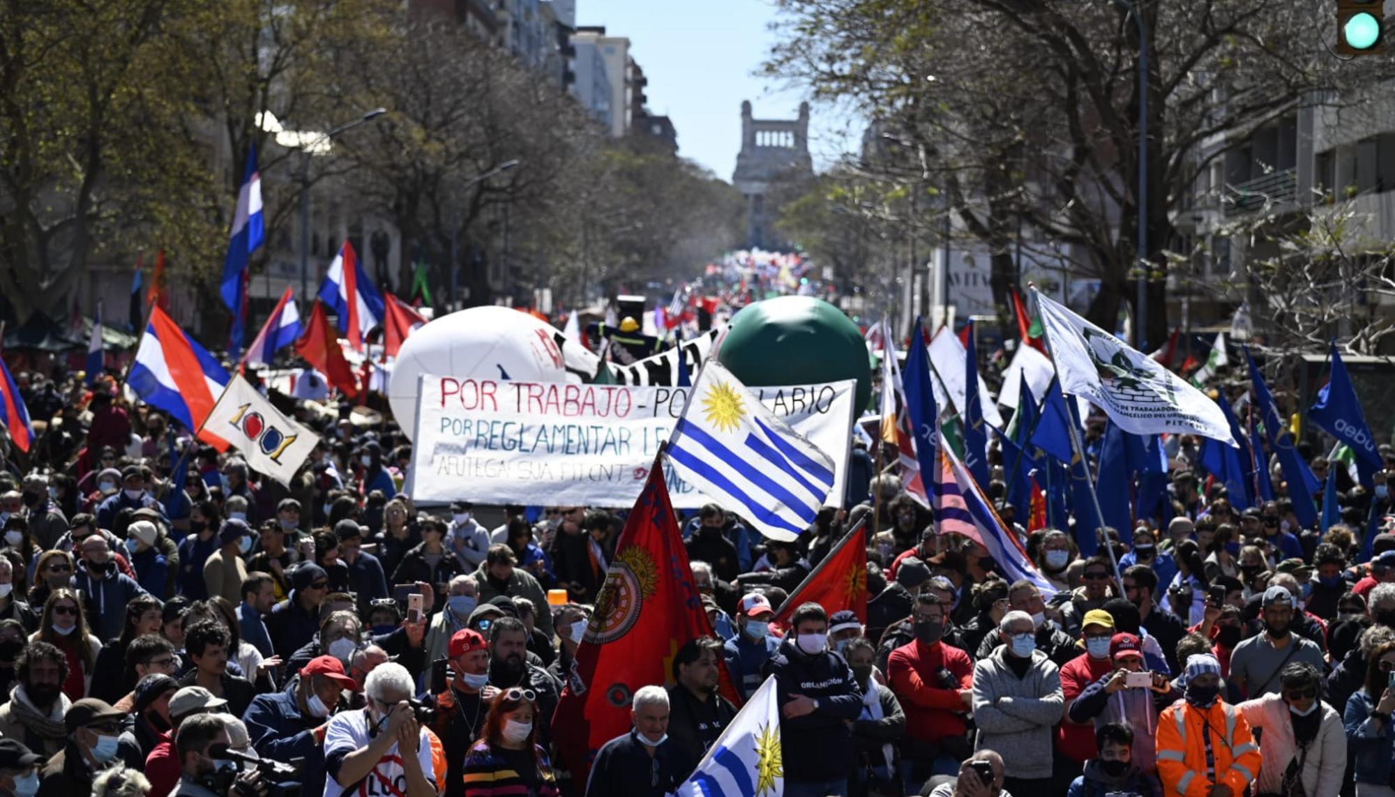 15s montevideo