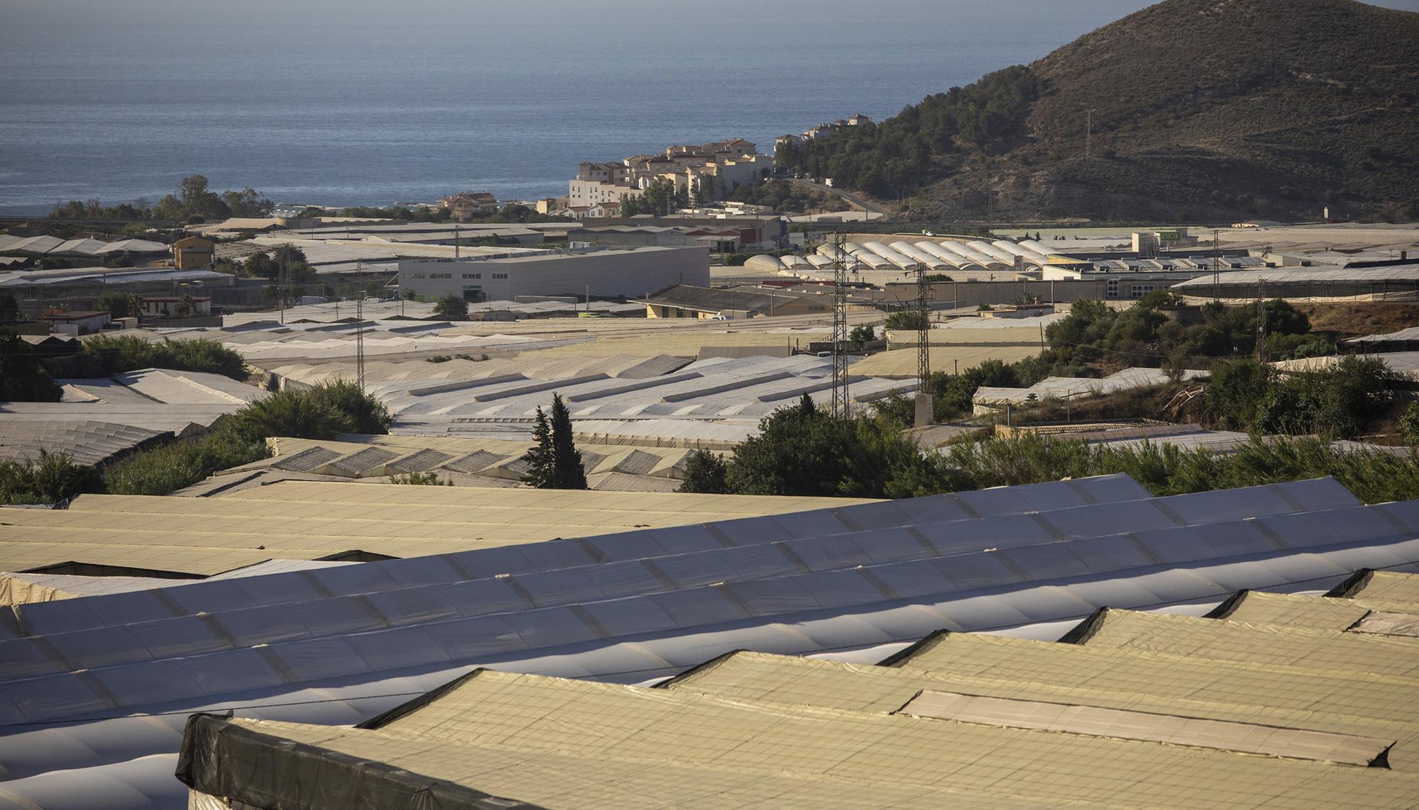 Andalucia Varios Medio Ambiente - 13