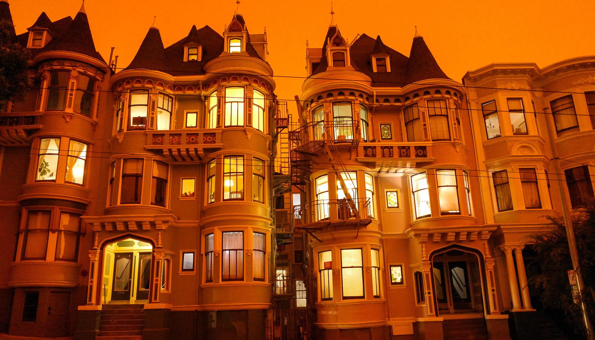 San Francisco llamas