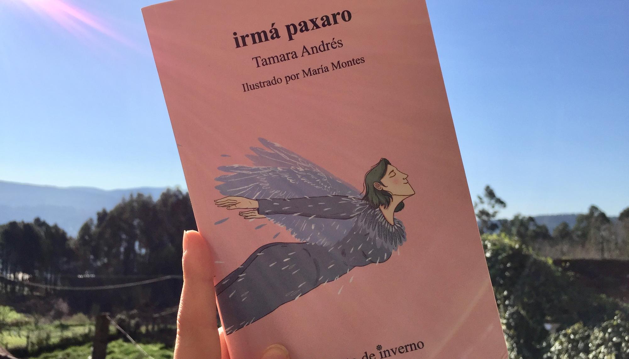 Irmá paxaro