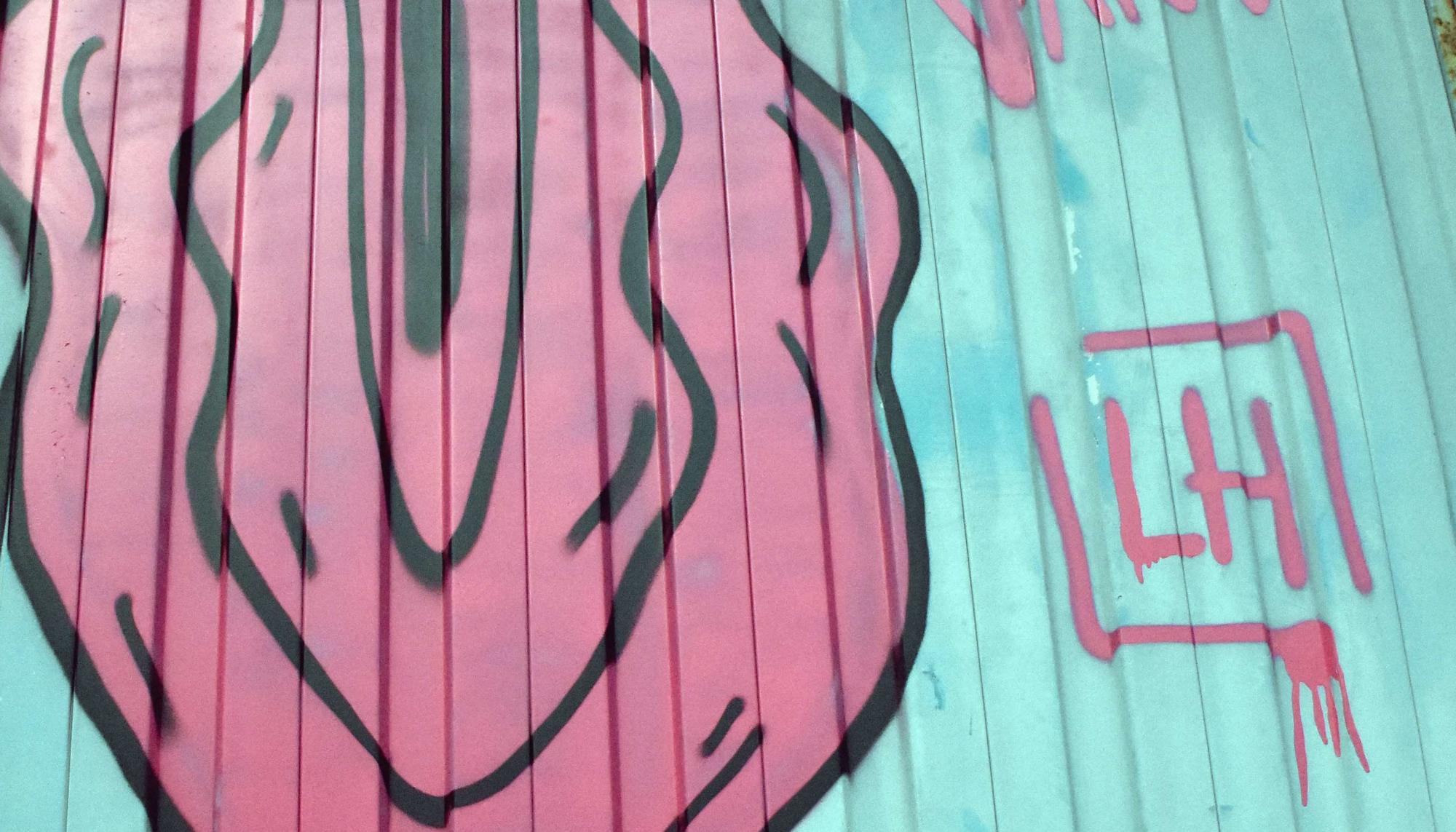 Grafitti Pussy de Lupita