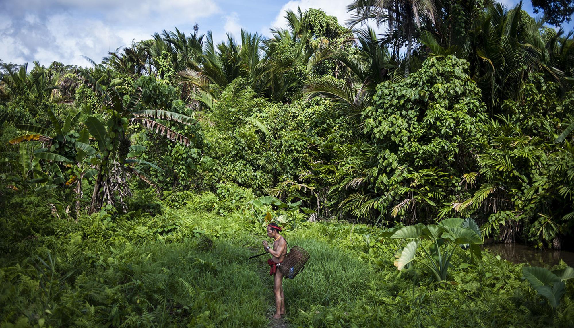 Mentawai 1