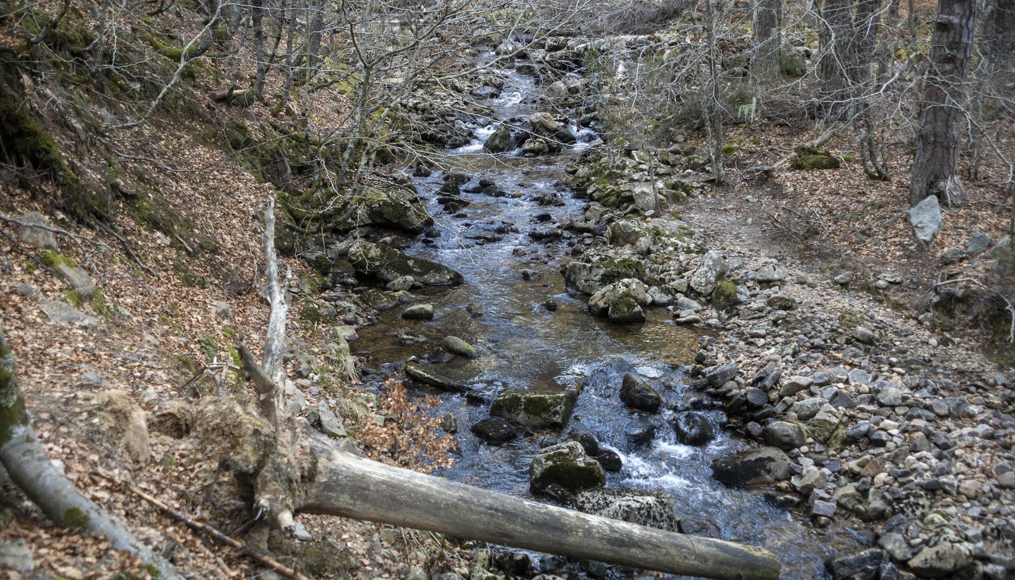 Rio de Soria