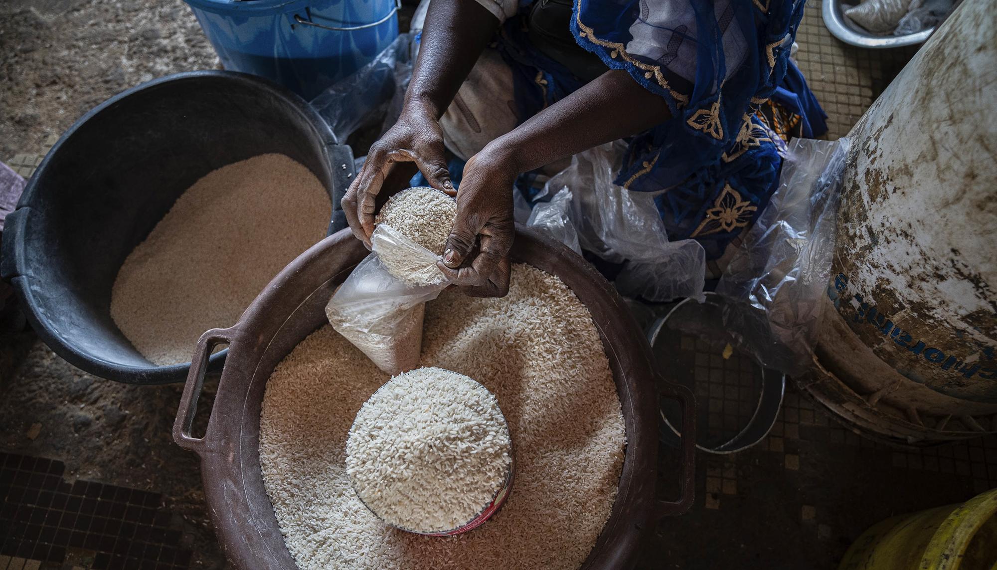 Agroecología y feminismo en Senegal - 7